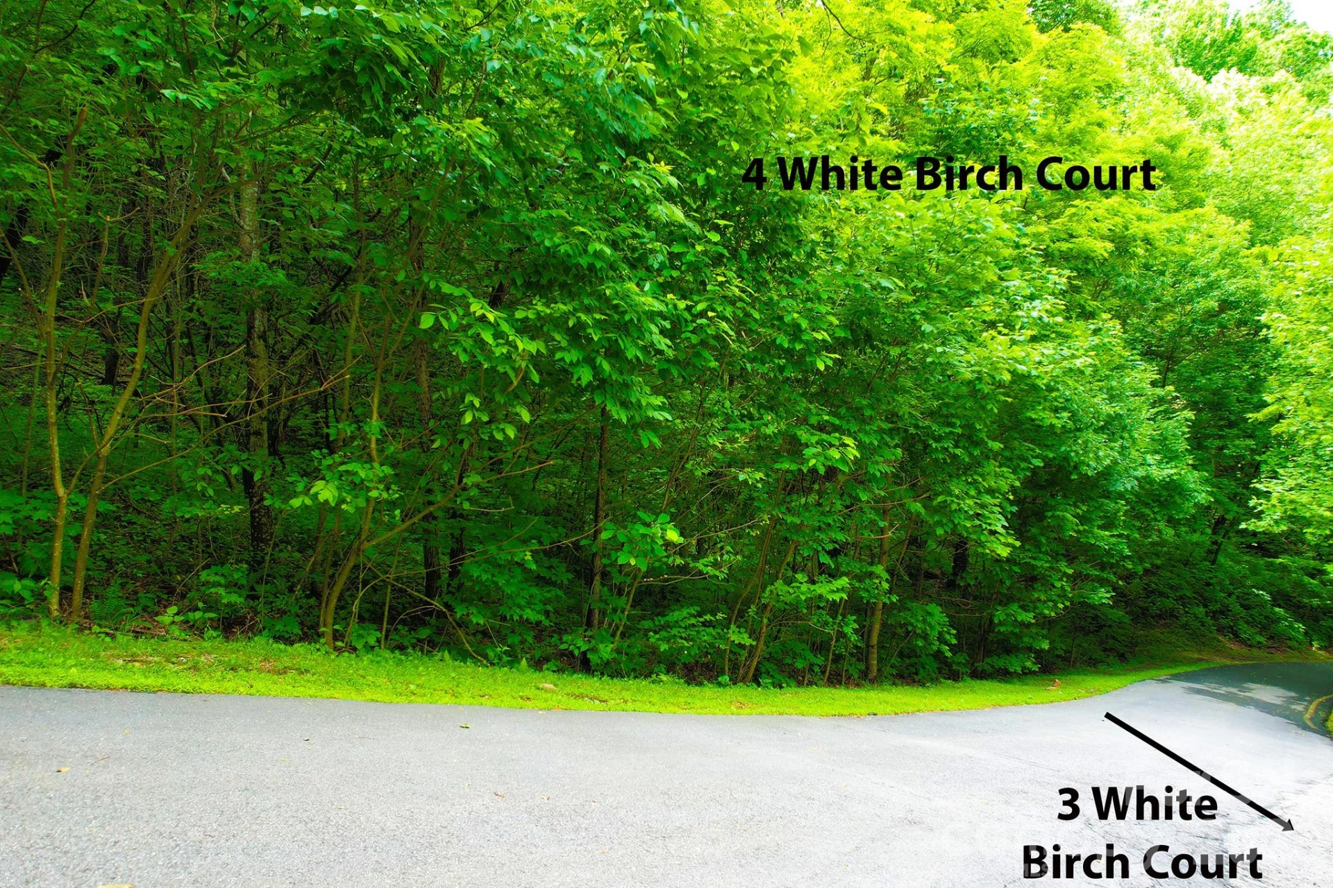 4 White Birch Court #422 - Photo 9