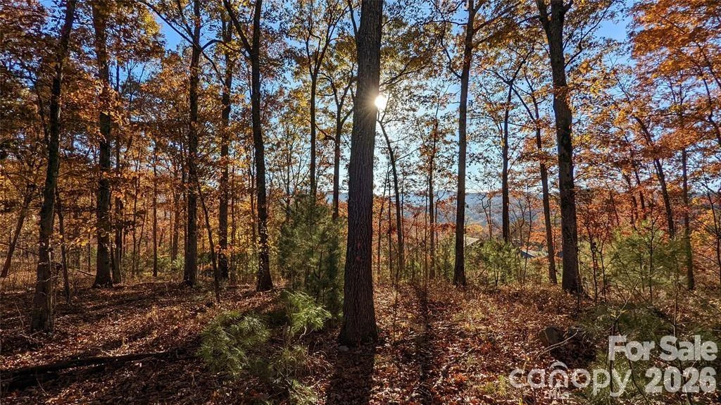 512 Wild River Run #65 - Photo 2