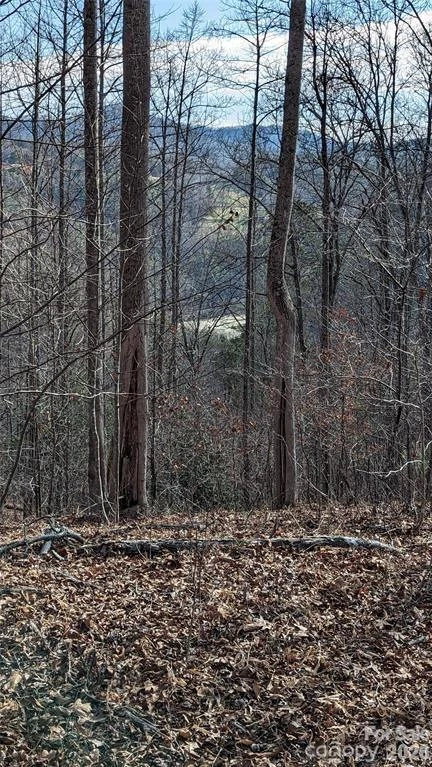 512 Wild River Run #65 - Photo 3