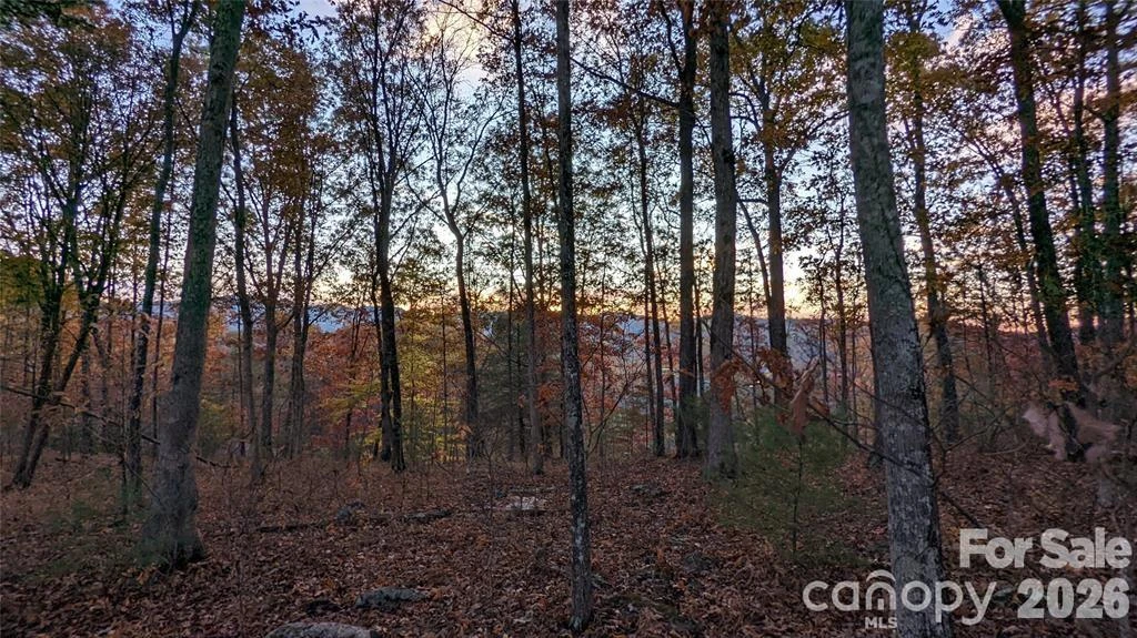 512 Wild River Run #65 - Photo 4