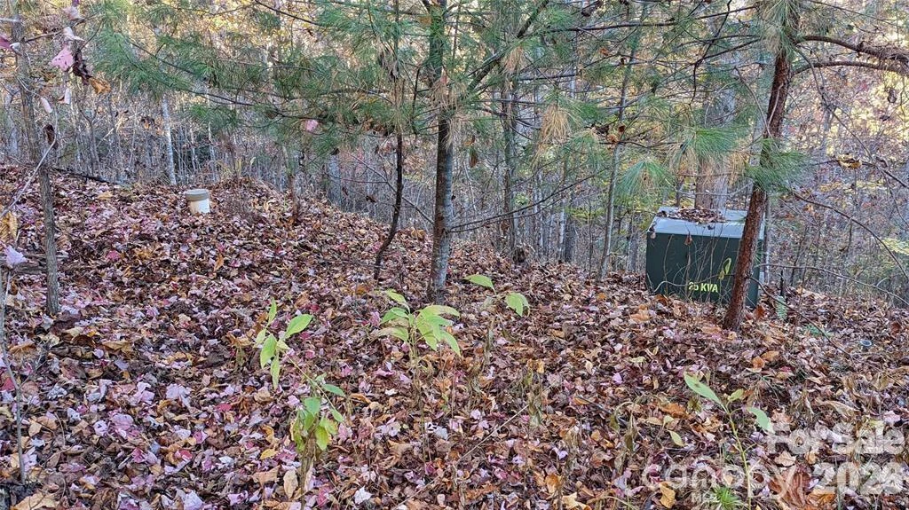 512 Wild River Run #65 - Photo 5