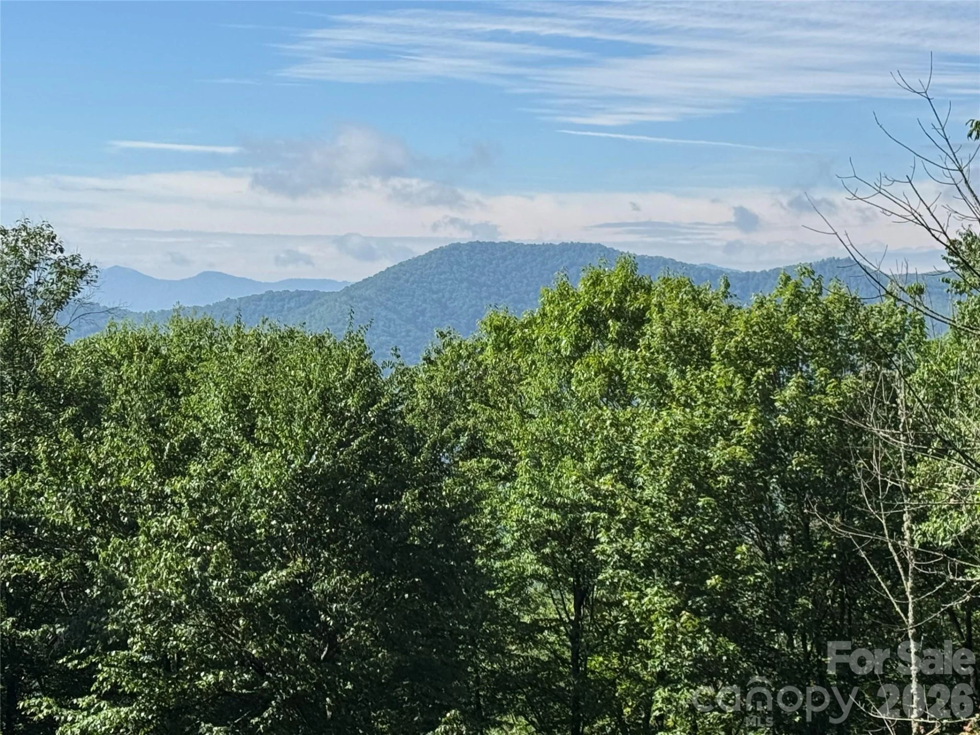 2085 Laurel Ridge N - Photo 5