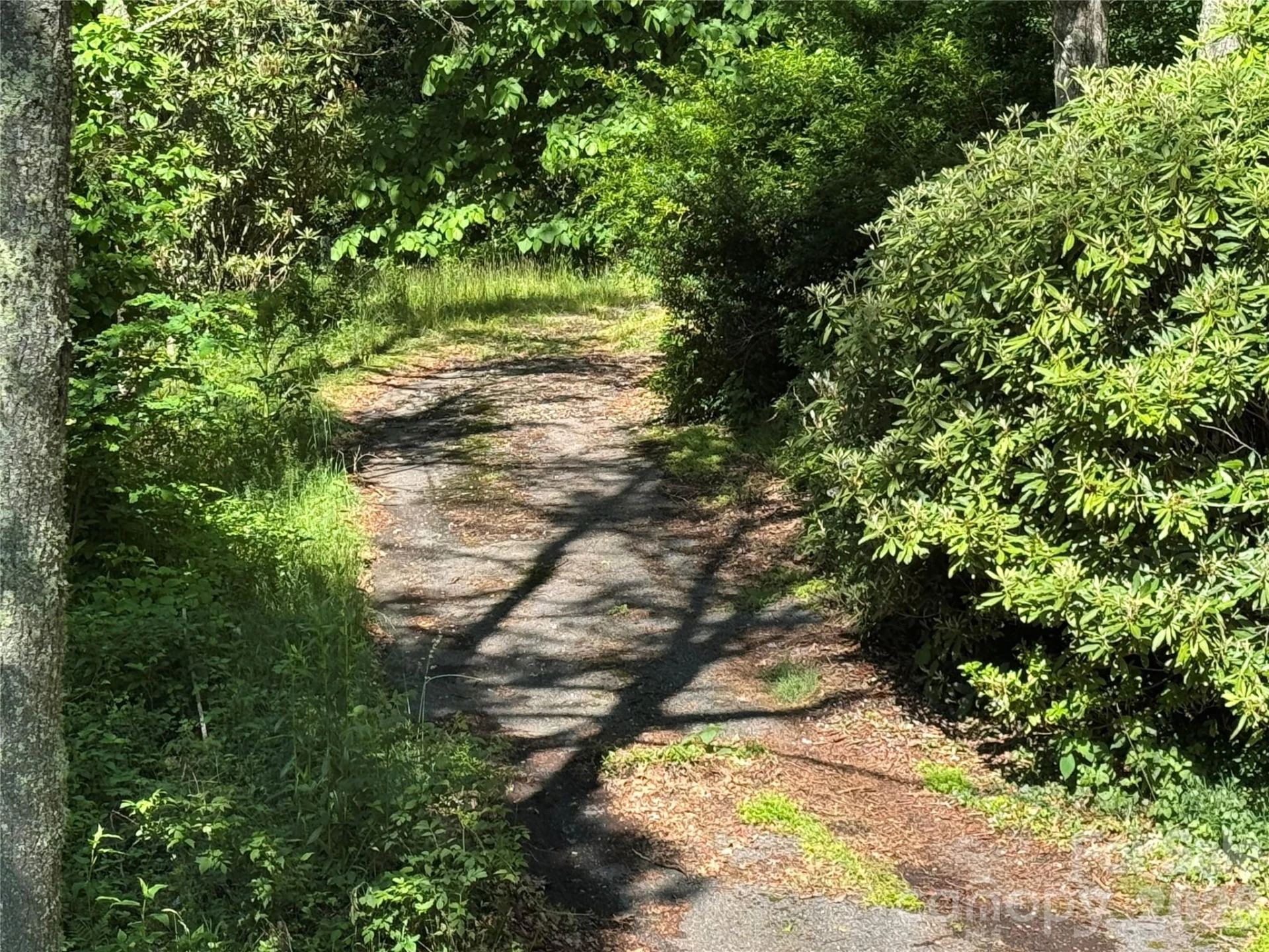 2085 Laurel Ridge N - Photo 26