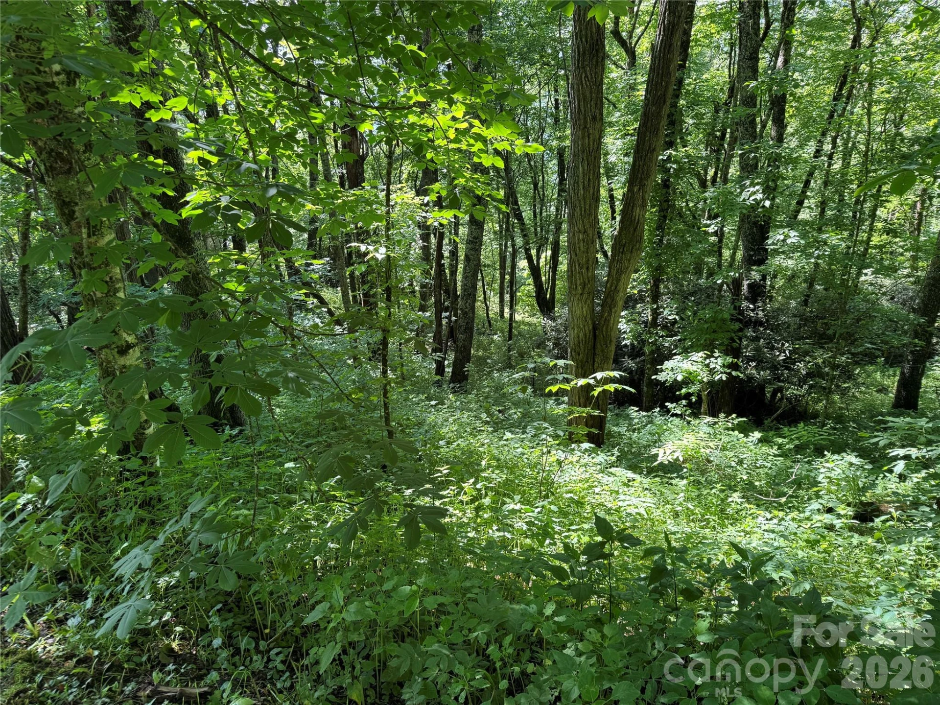 2085 Laurel Ridge N - Photo 34