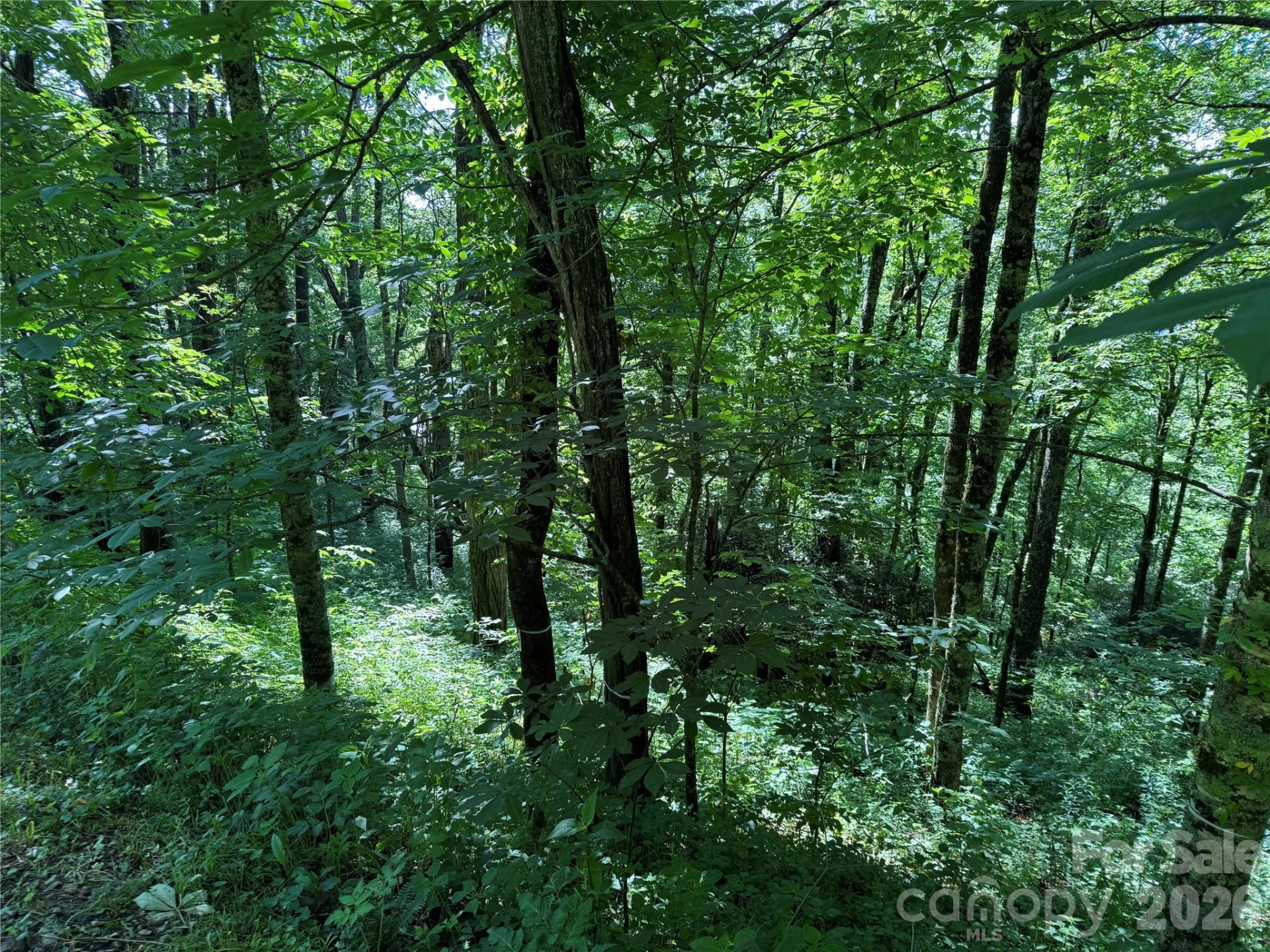 2085 Laurel Ridge N - Photo 35