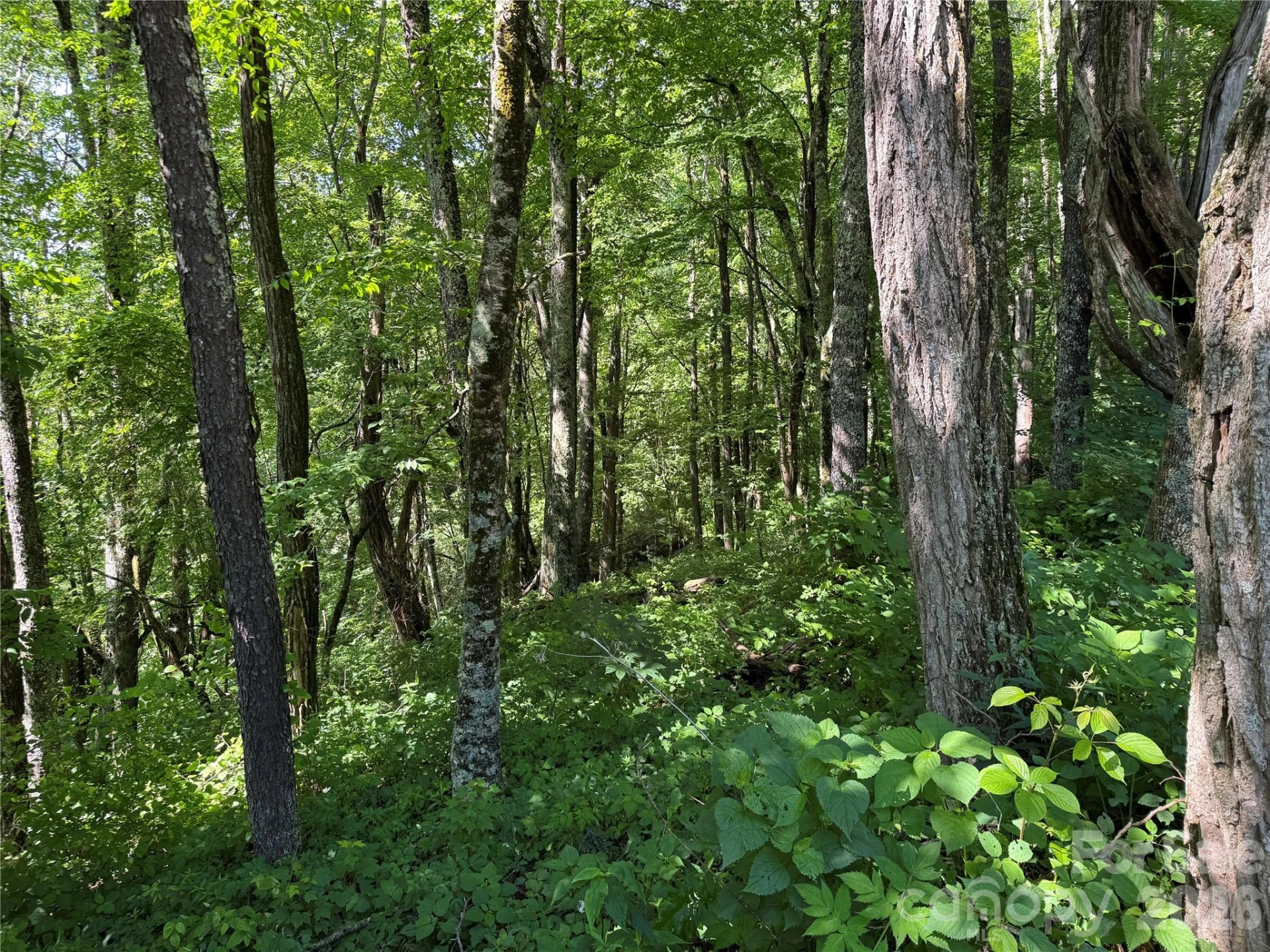 2085 Laurel Ridge N - Photo 36