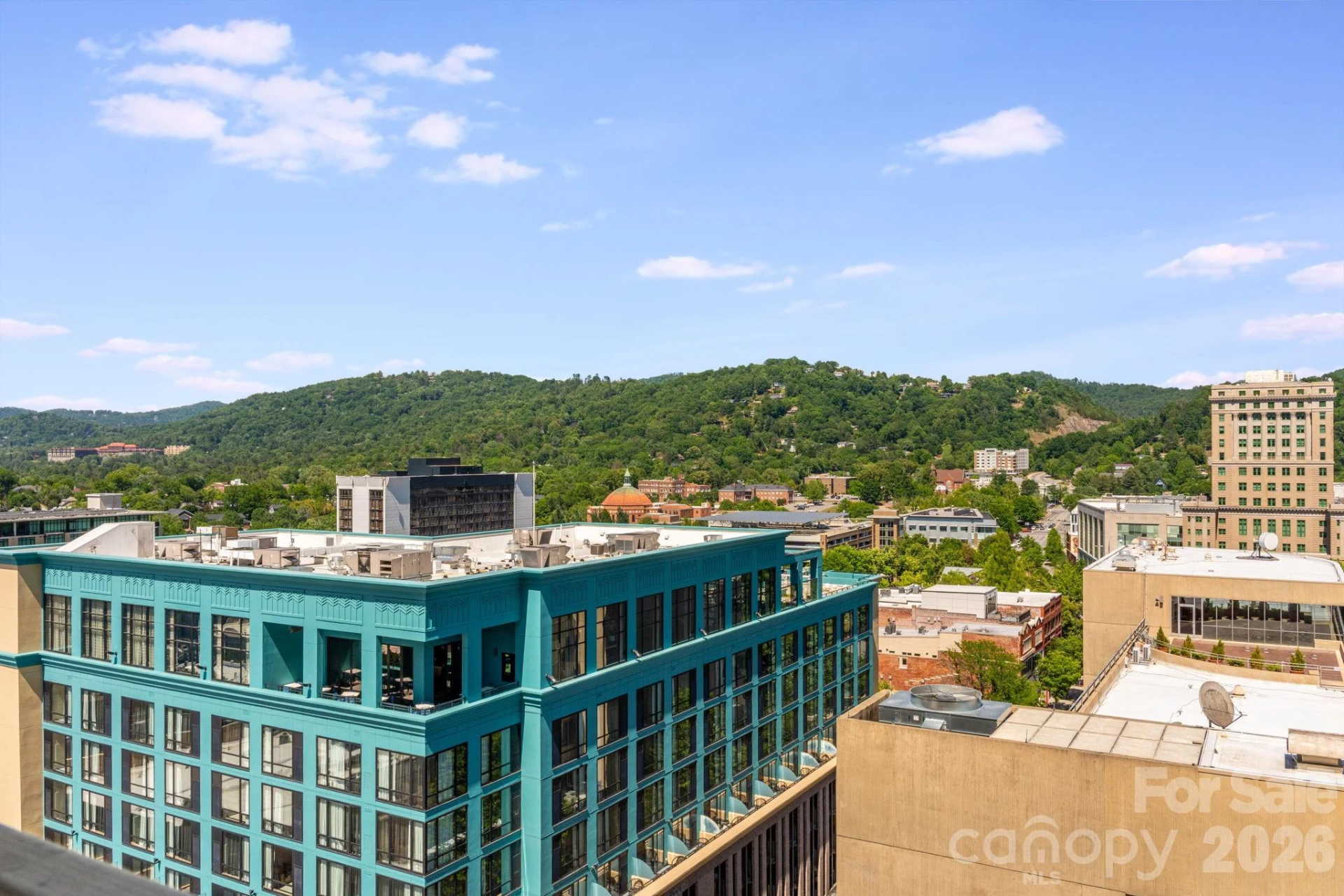 7 Patton Avenue #1006 - Photo 28