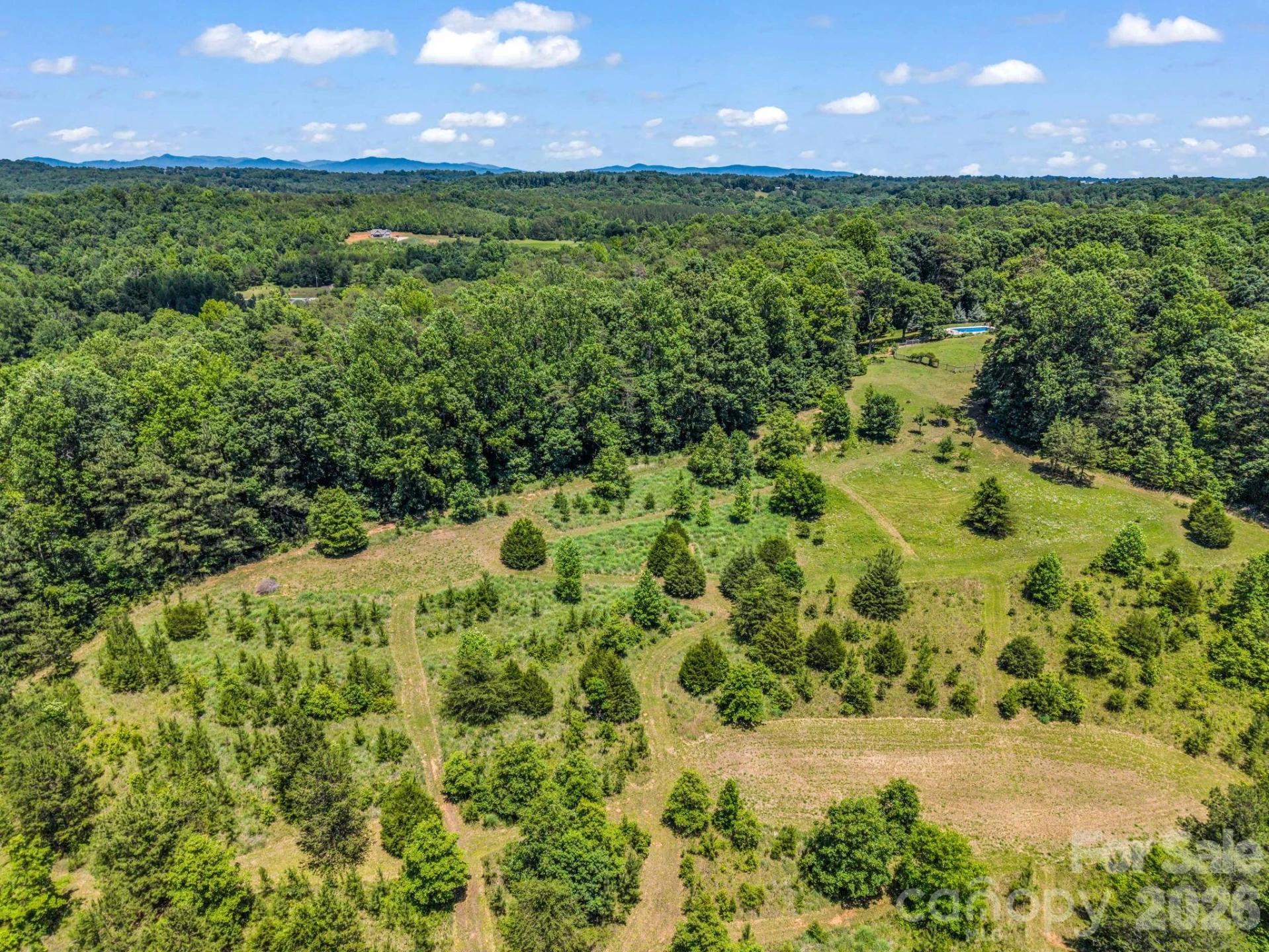 590 Miller Road - Photo 4