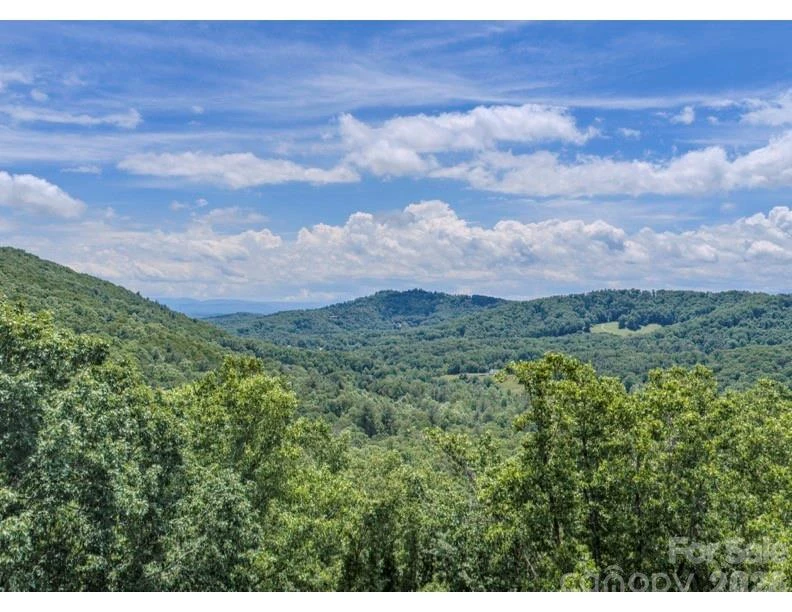 10 Fall Mountain Road #56 - Photo 2