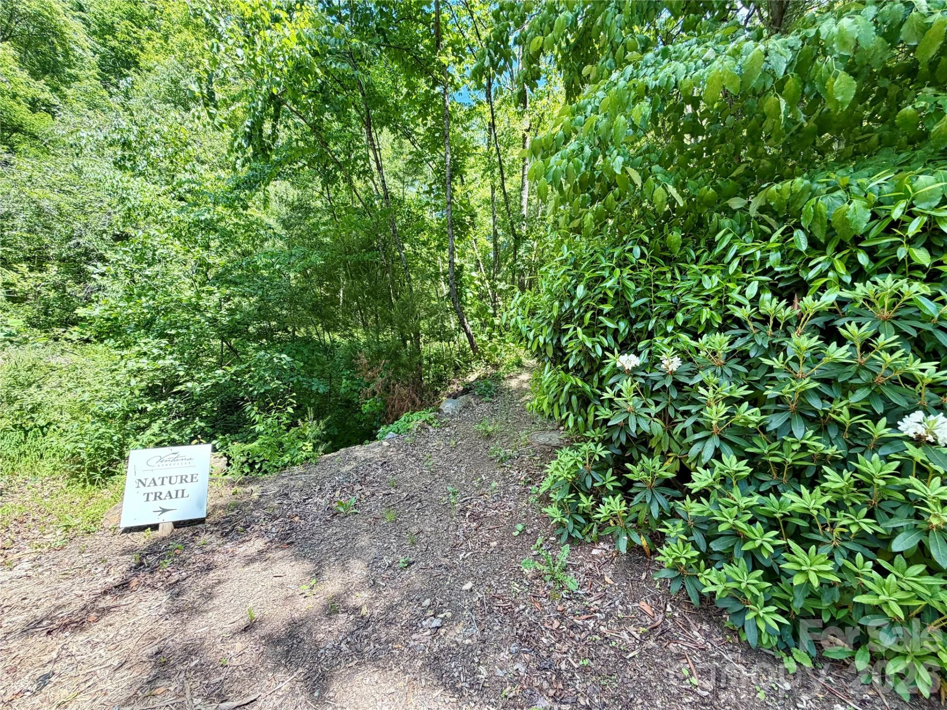19 Villa Nova Drive - Photo 12