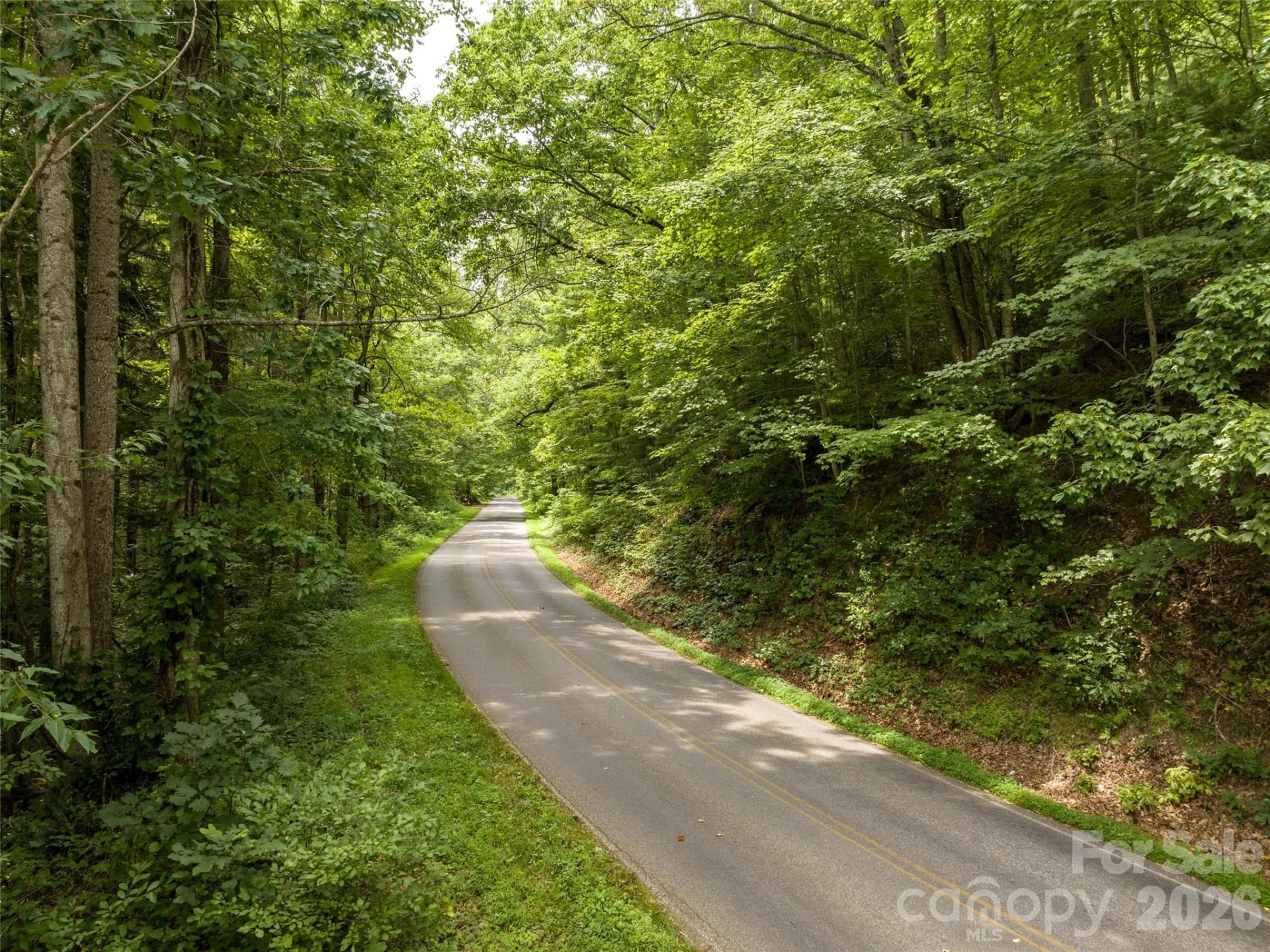 00 Lake Logan Road - Photo 11
