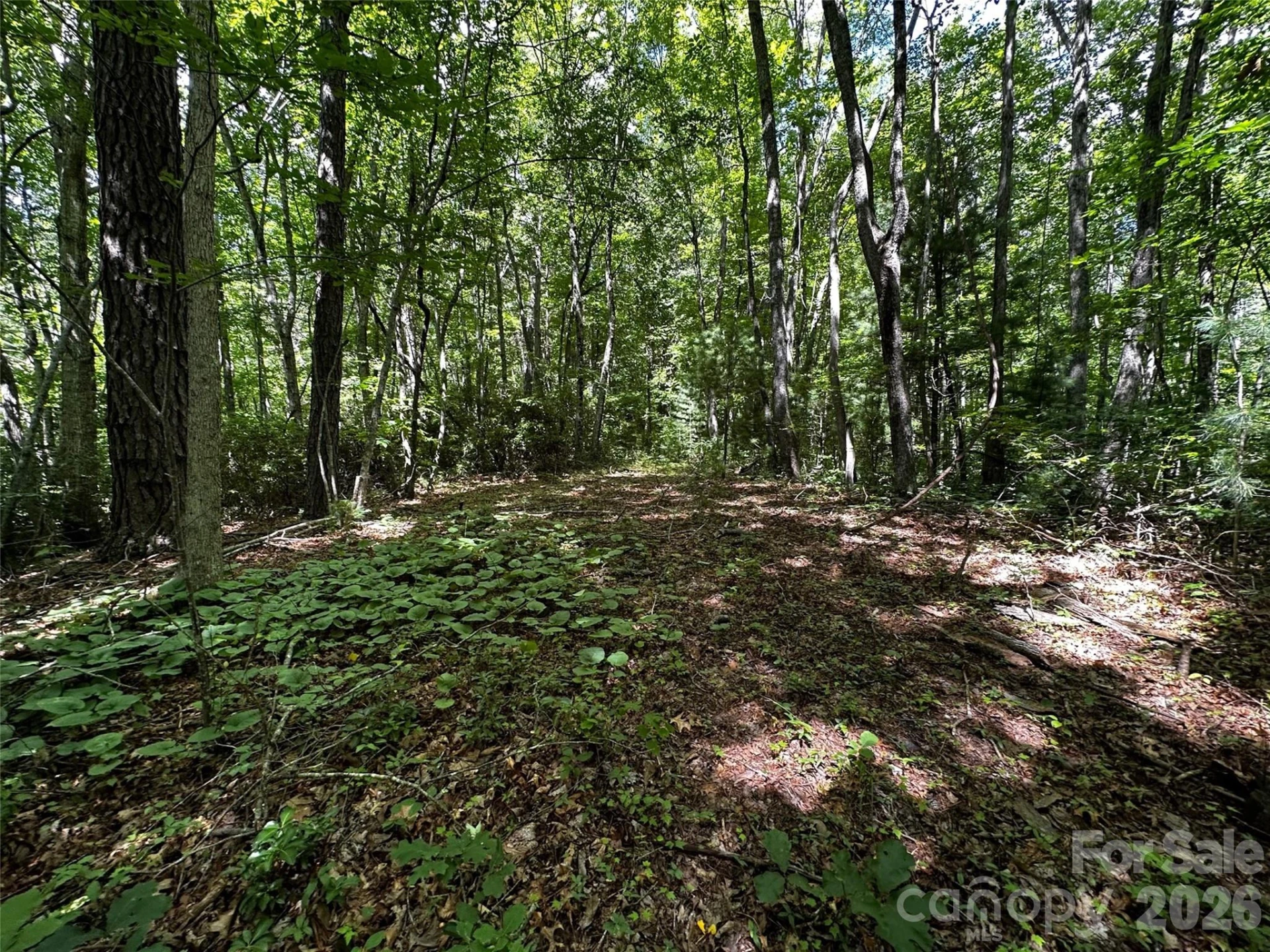 00 Lake Logan Road - Photo 16