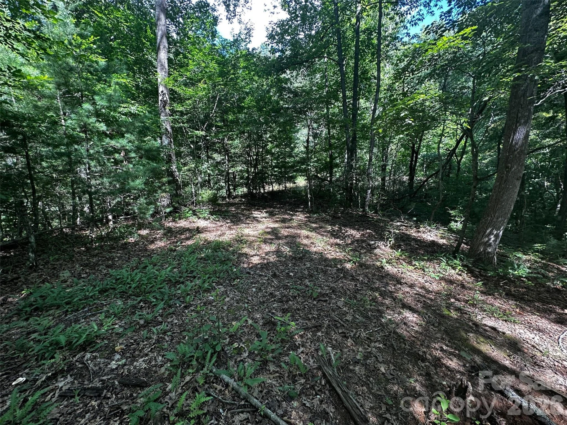 00 Lake Logan Road - Photo 17
