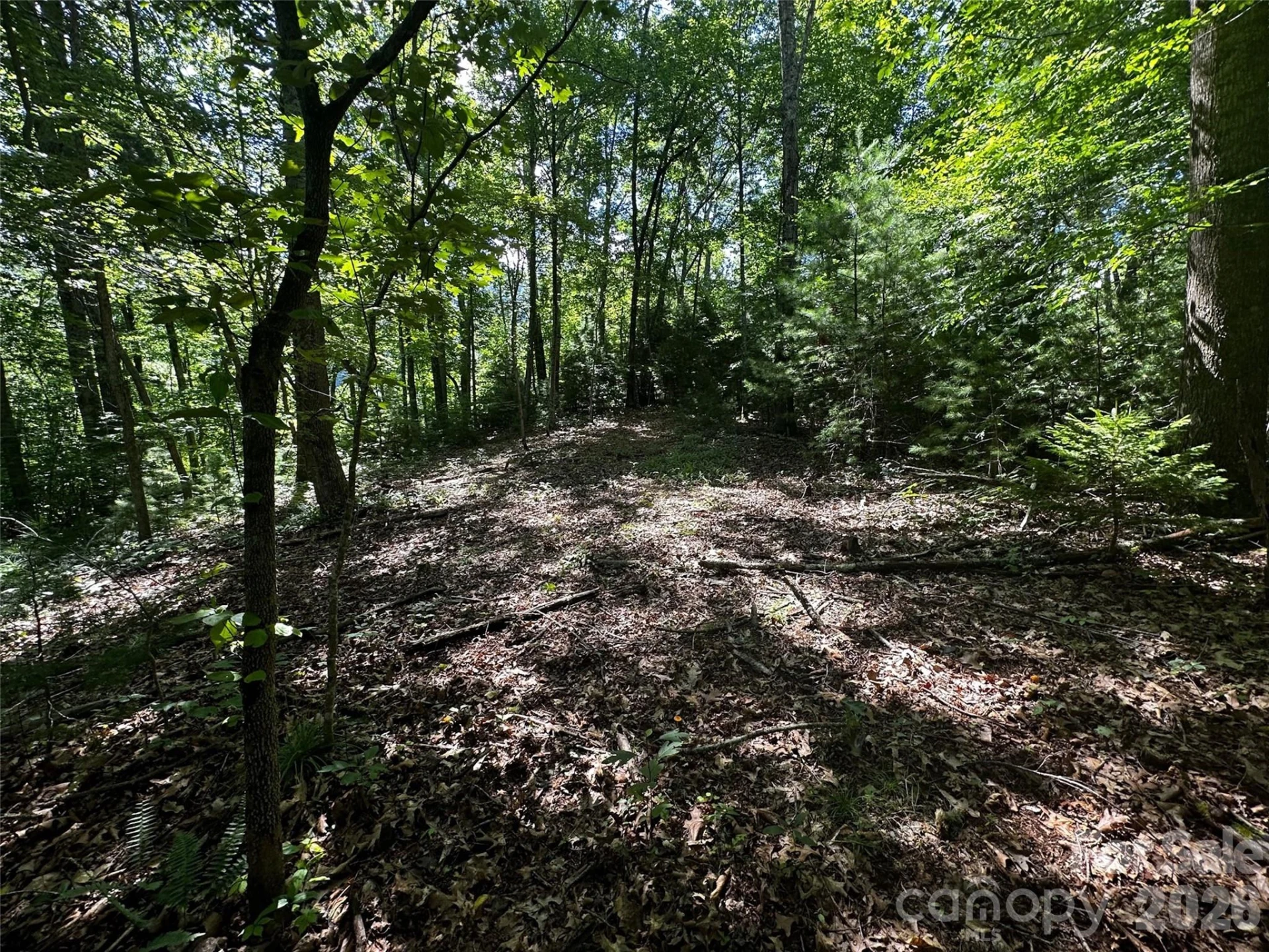 00 Lake Logan Road - Photo 18