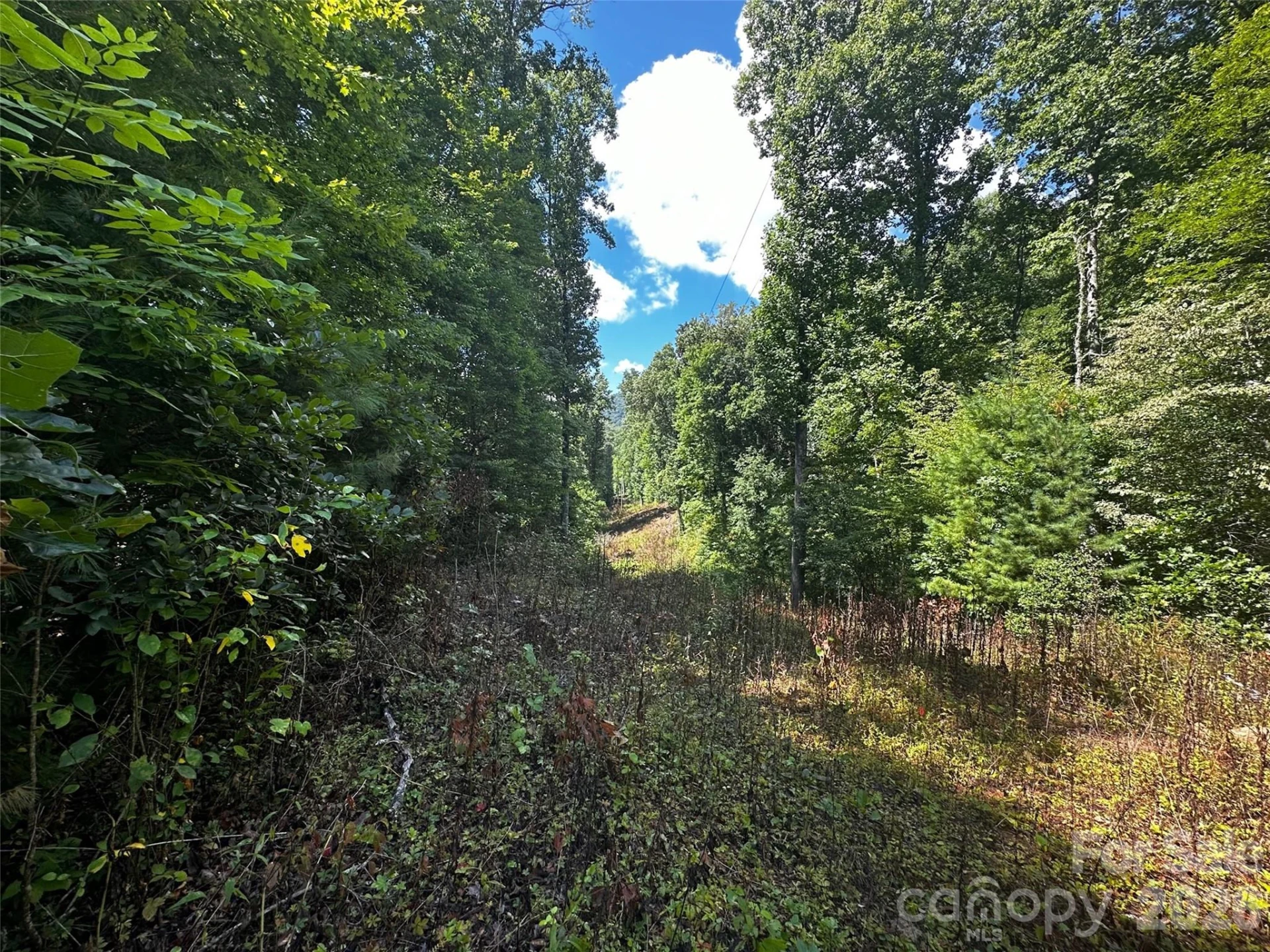 00 Lake Logan Road - Photo 19