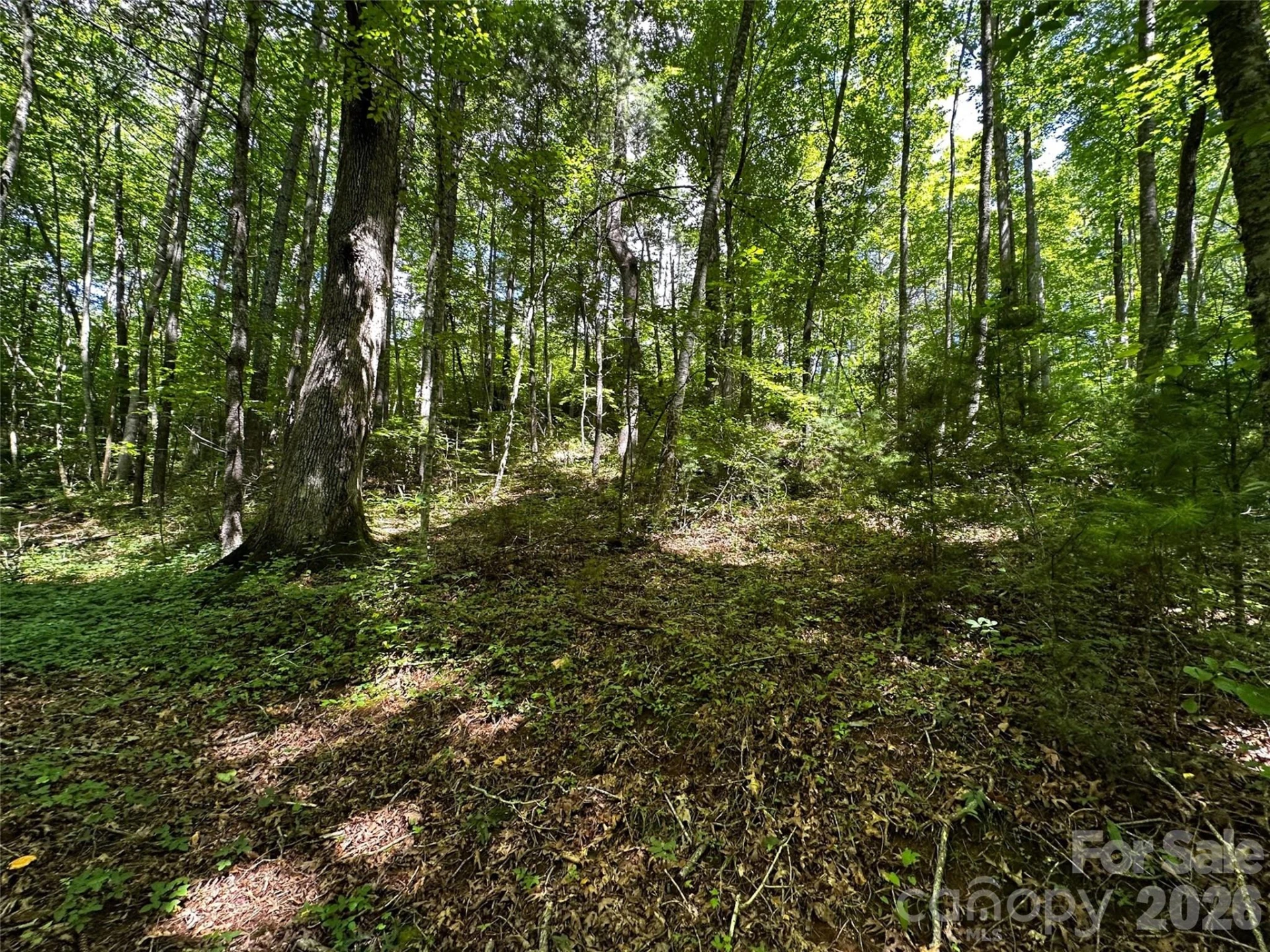 00 Lake Logan Road - Photo 22
