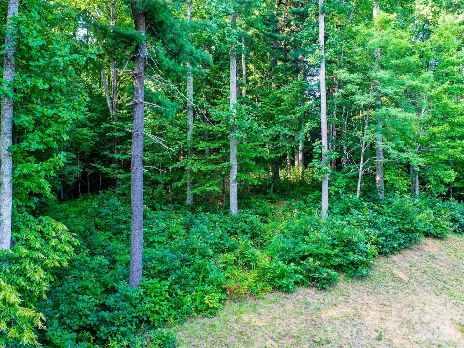 Lot 32 Freedom Trail Court #32 - Photo 4