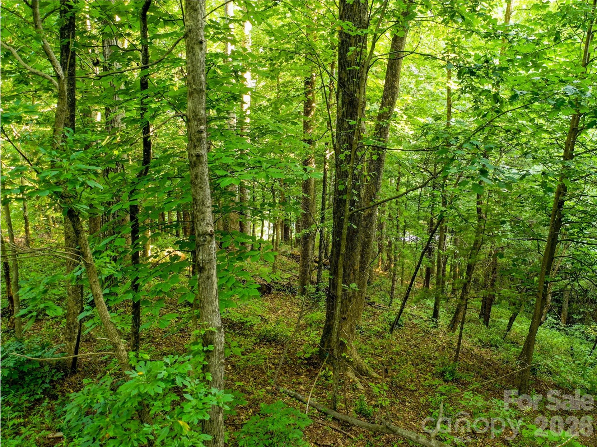 Lot 32 Freedom Trail Court #32 - Photo 10
