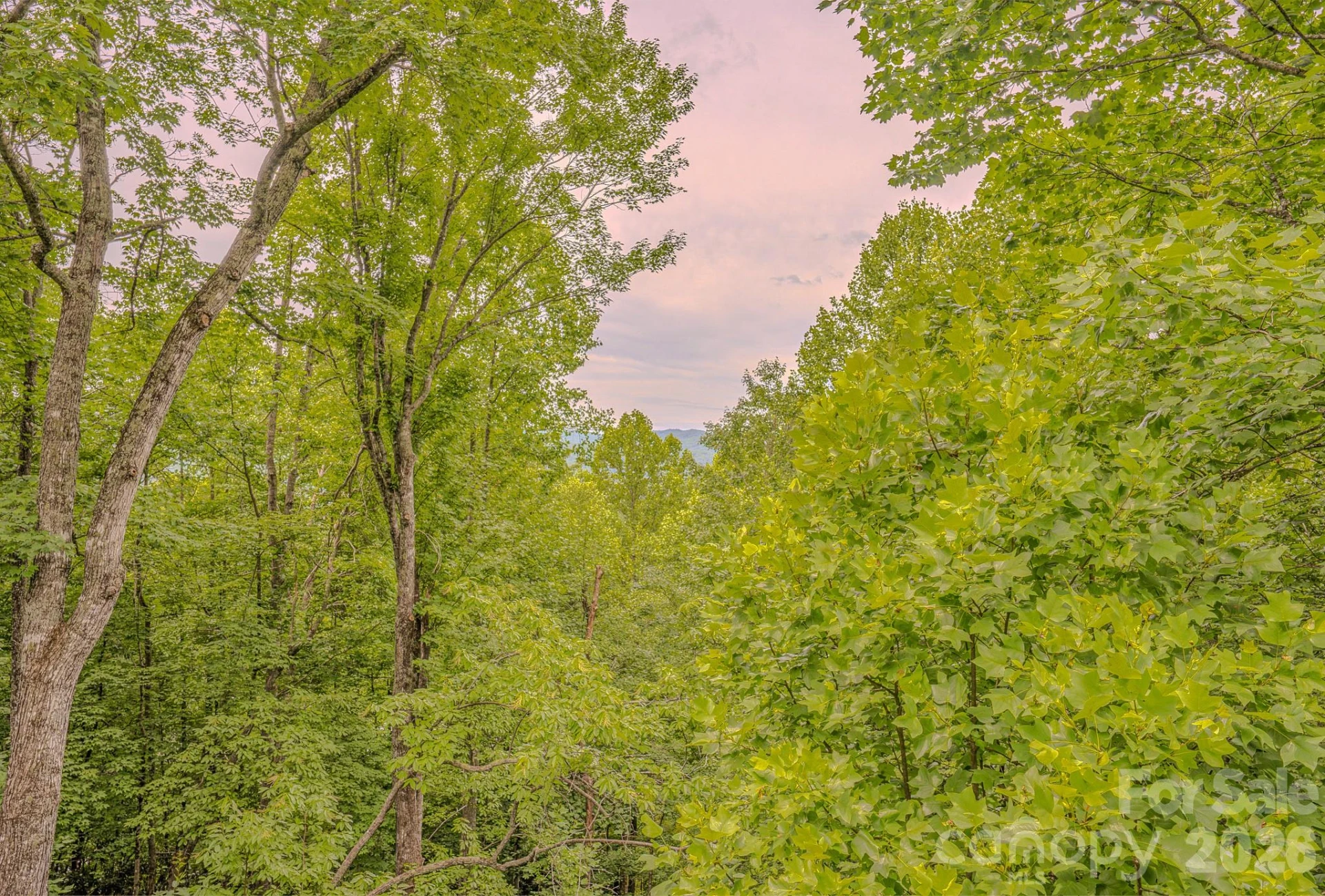 329 Mountain Crest Drive - Photo 17