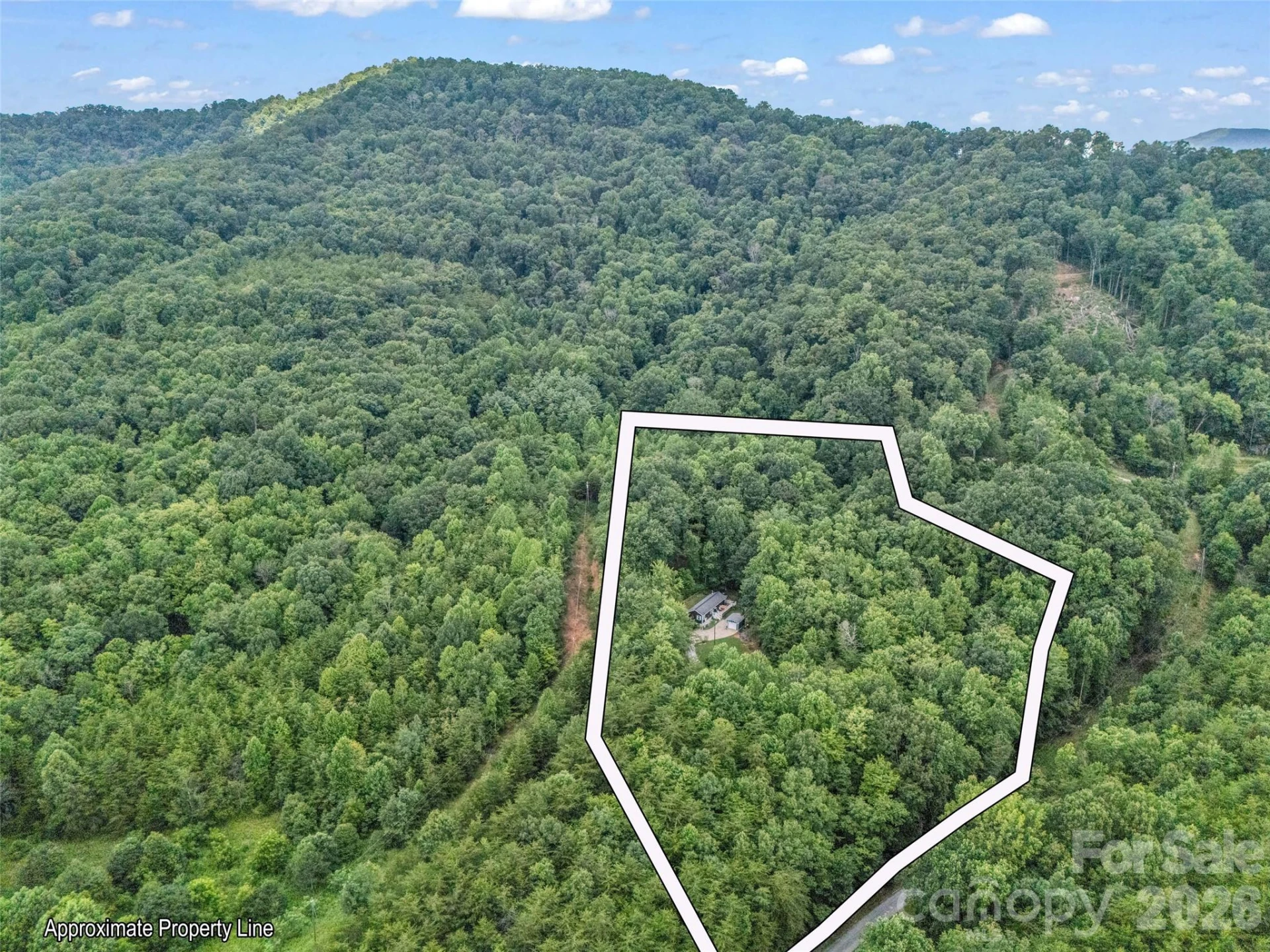479 Camp Hill Road #11 - Photo 41