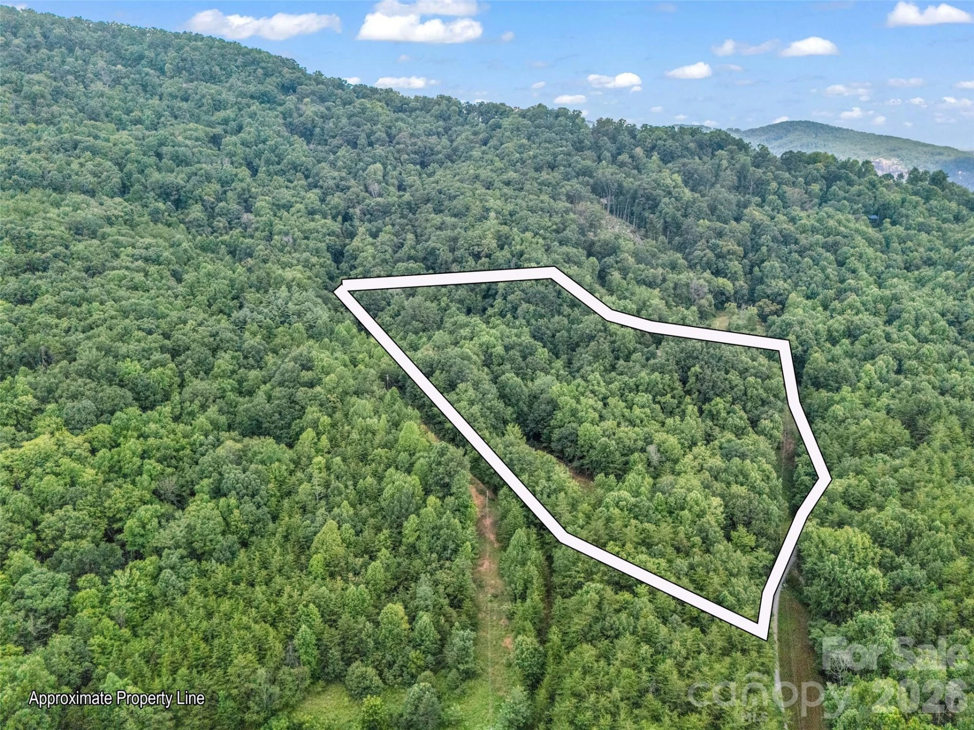 479 Camp Hill Road #11 - Photo 42