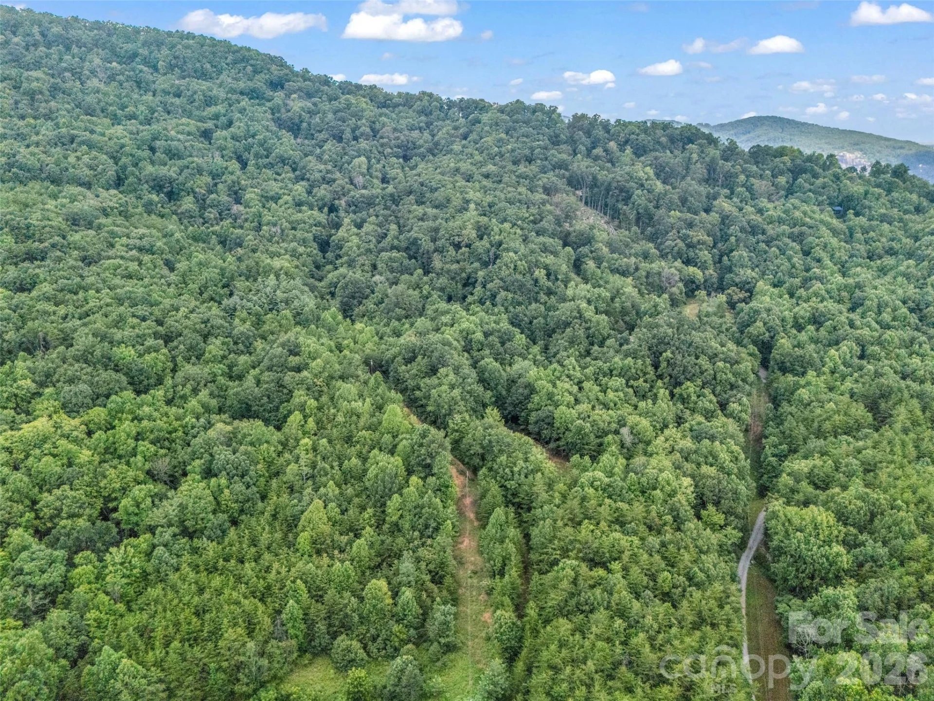479 Camp Hill Road #11 - Photo 48