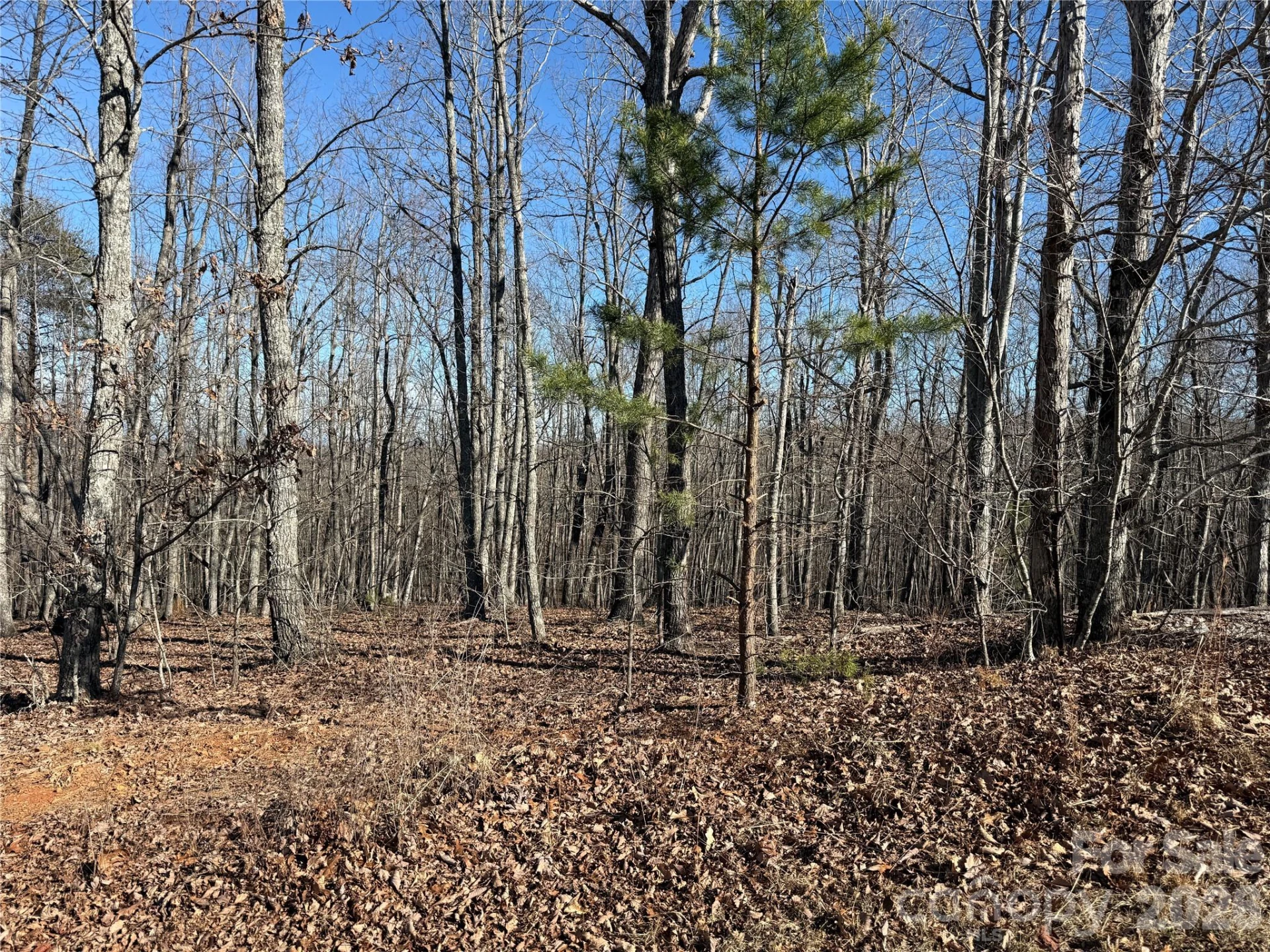 108 Woodgate Trail #94 - Photo 2