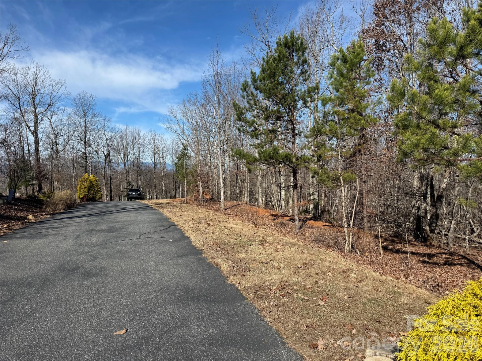 108 Woodgate Trail #94 - Photo 11