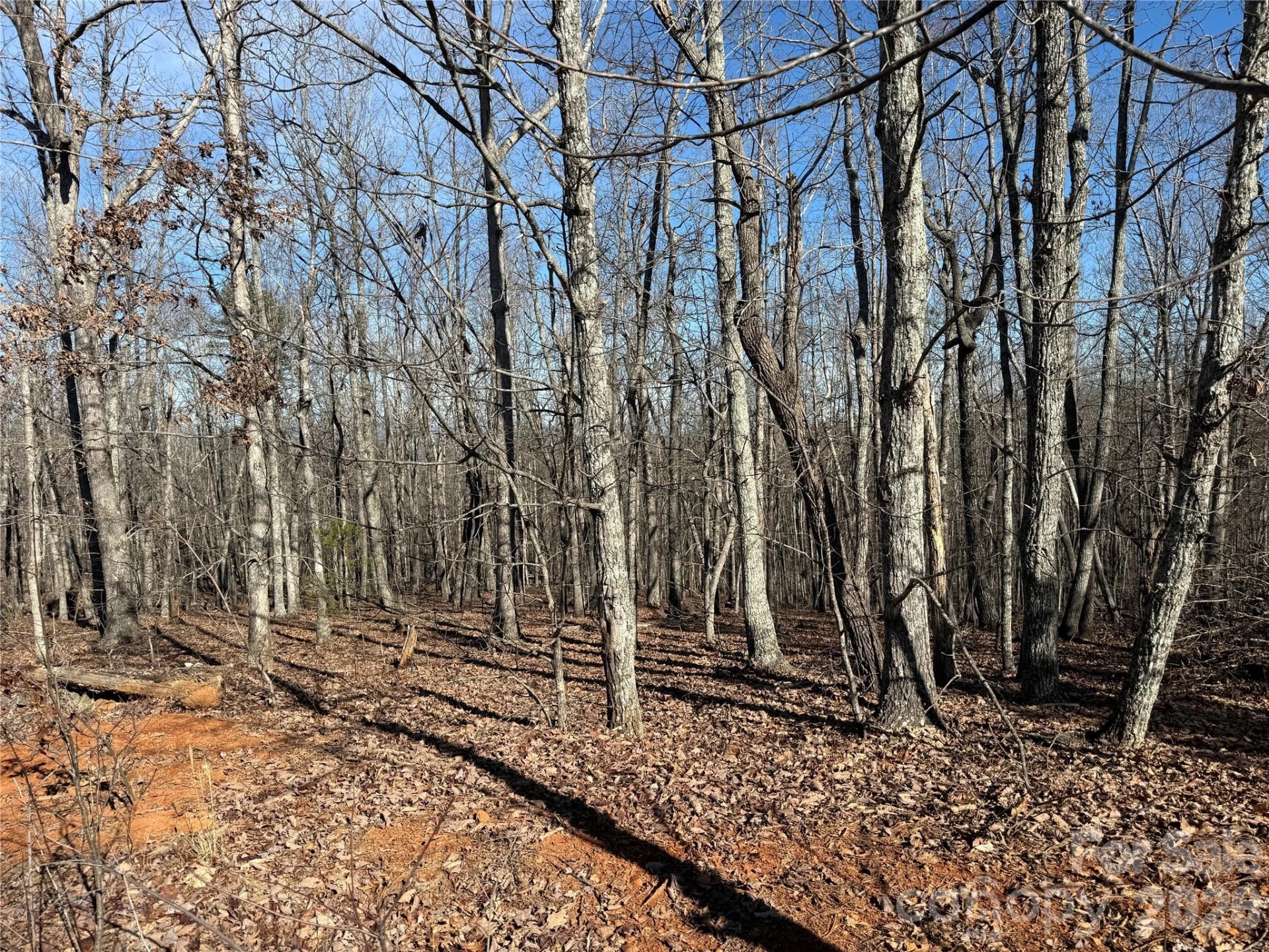 108 Woodgate Trail #94 - Photo 12