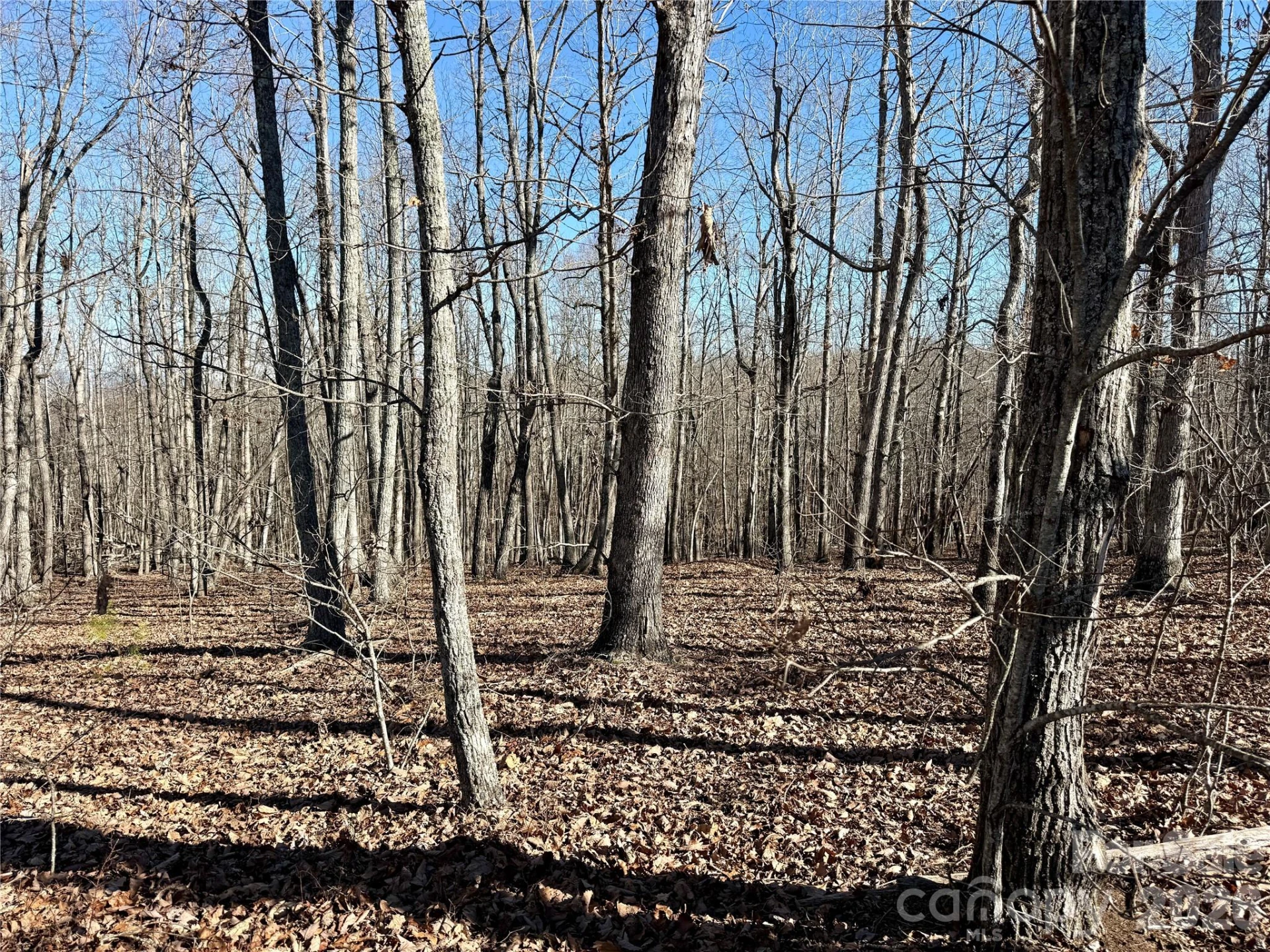 108 Woodgate Trail #94 - Photo 3