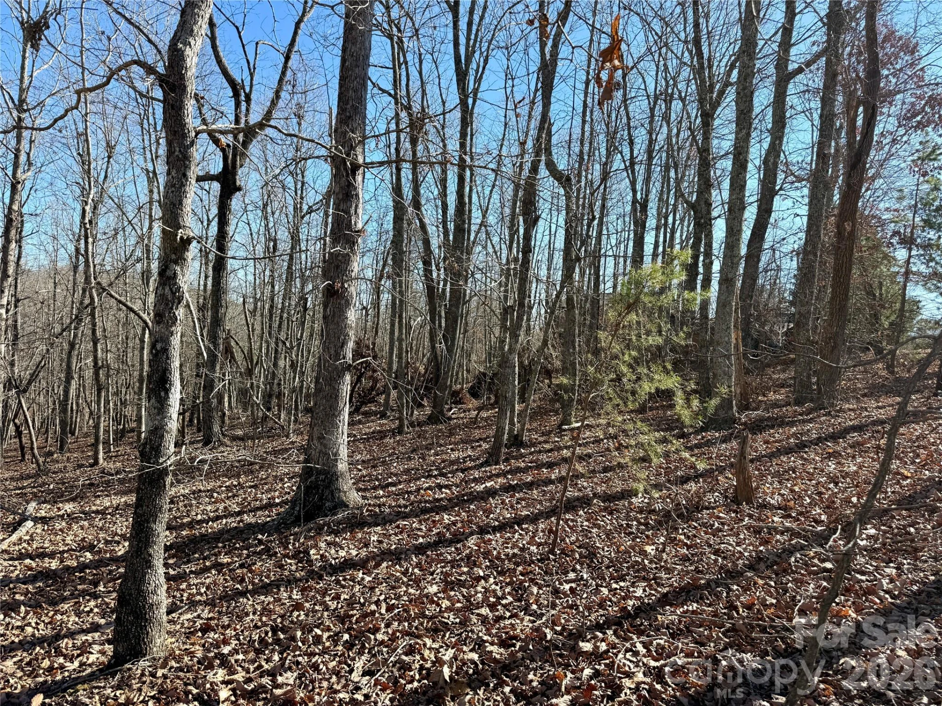 108 Woodgate Trail #94 - Photo 4