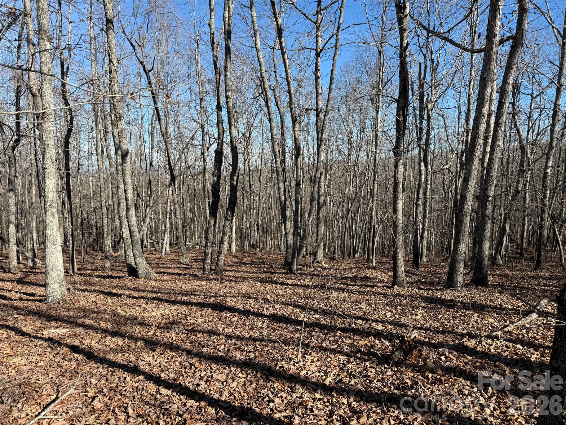 108 Woodgate Trail #94 - Photo 5