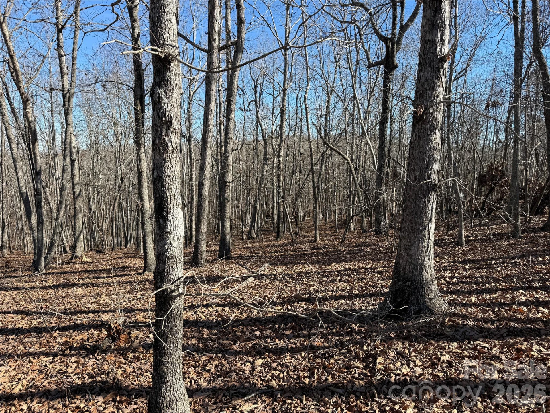 108 Woodgate Trail #94 - Photo 6