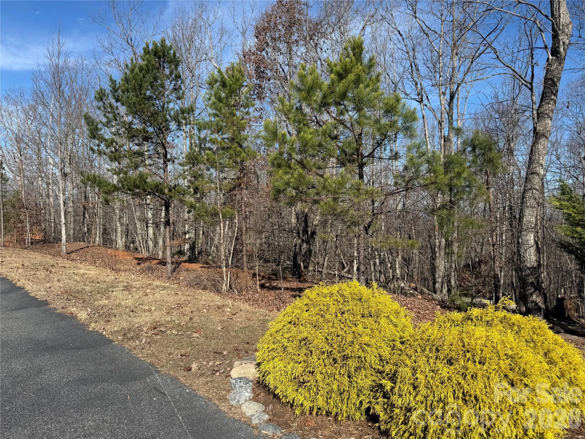 108 Woodgate Trail #94 - Photo 10