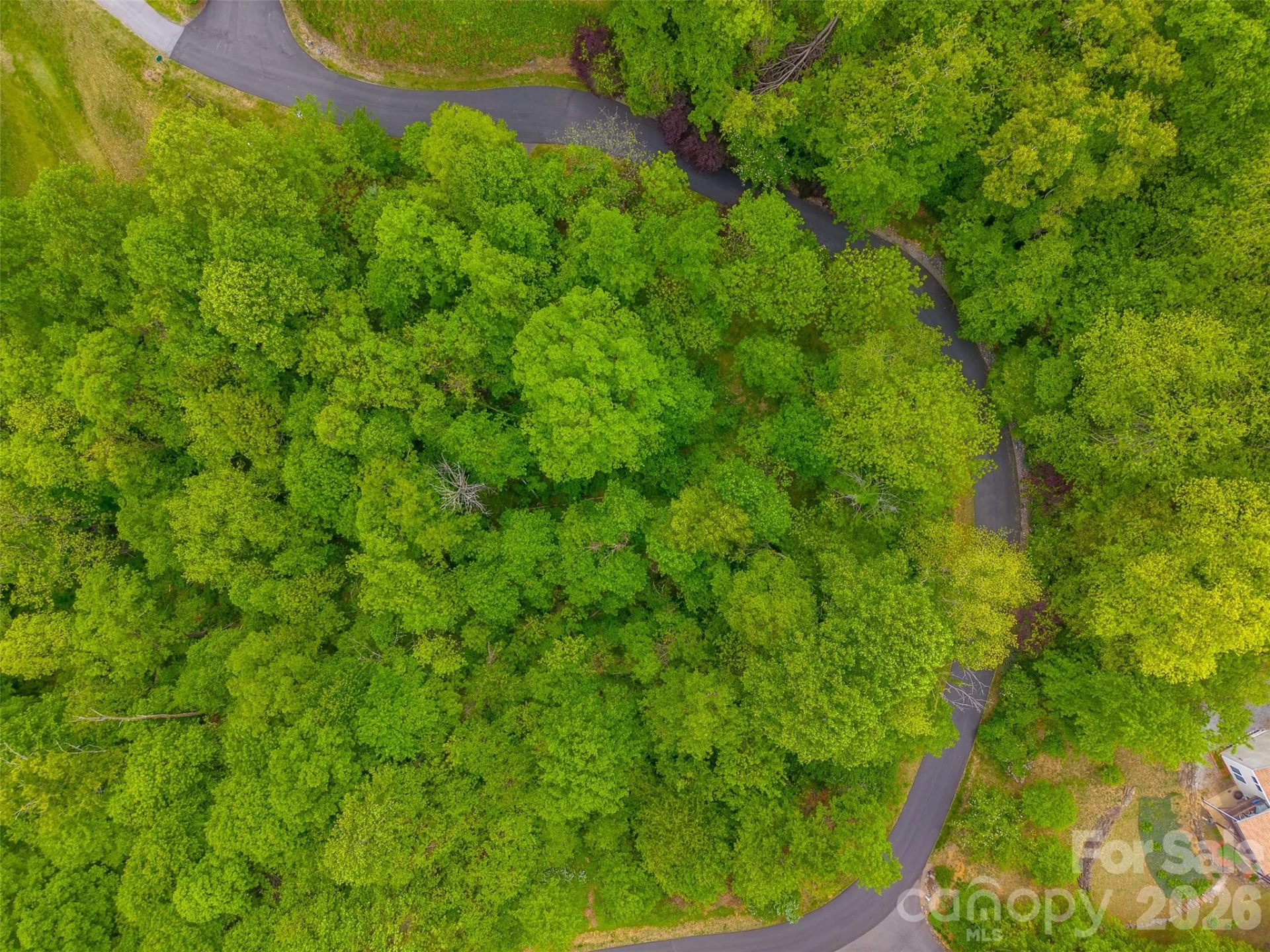 Lot 104 Campbell Mountain Drive - Photo 2