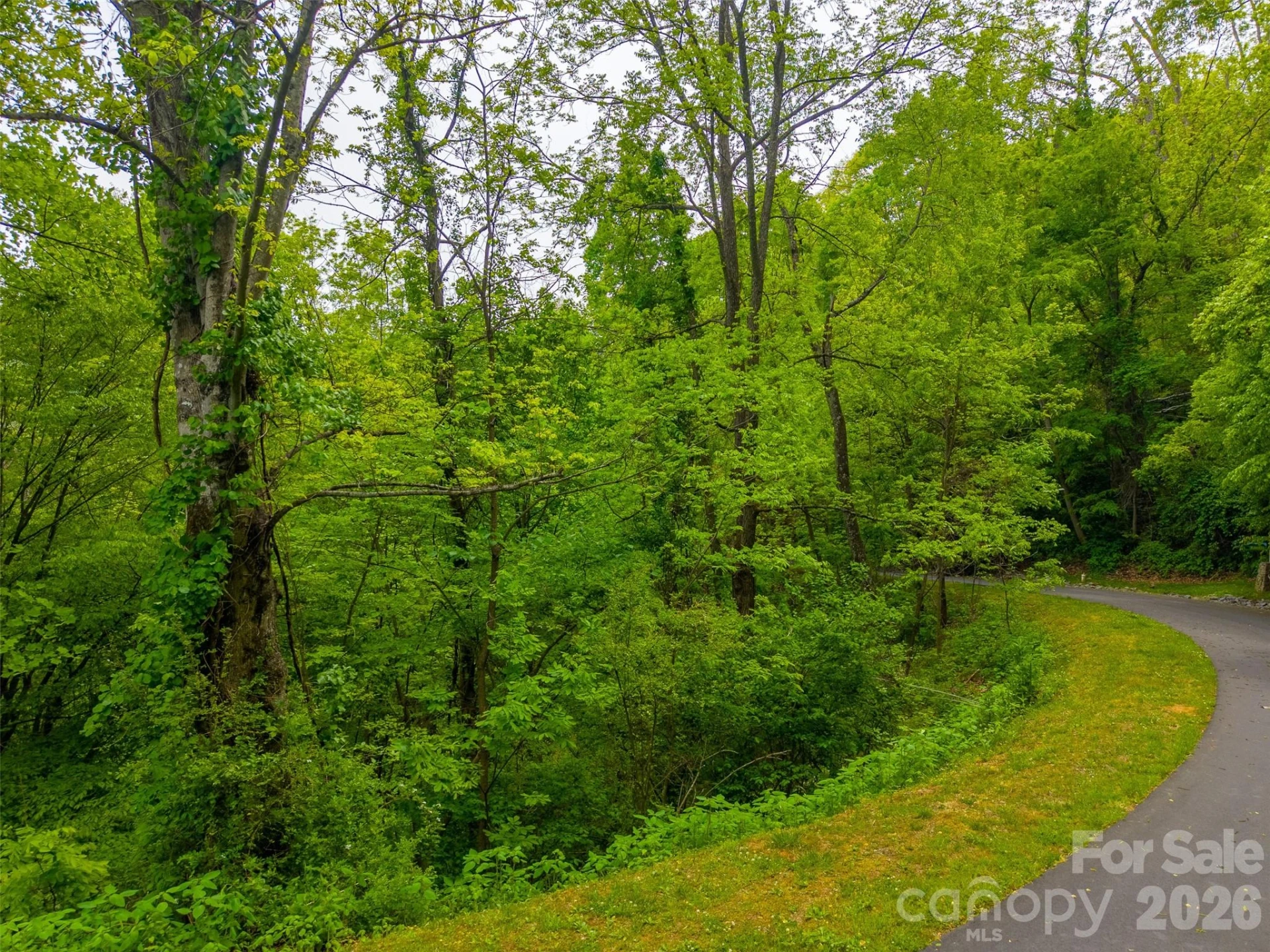 Lot 104 Campbell Mountain Drive - Photo 11
