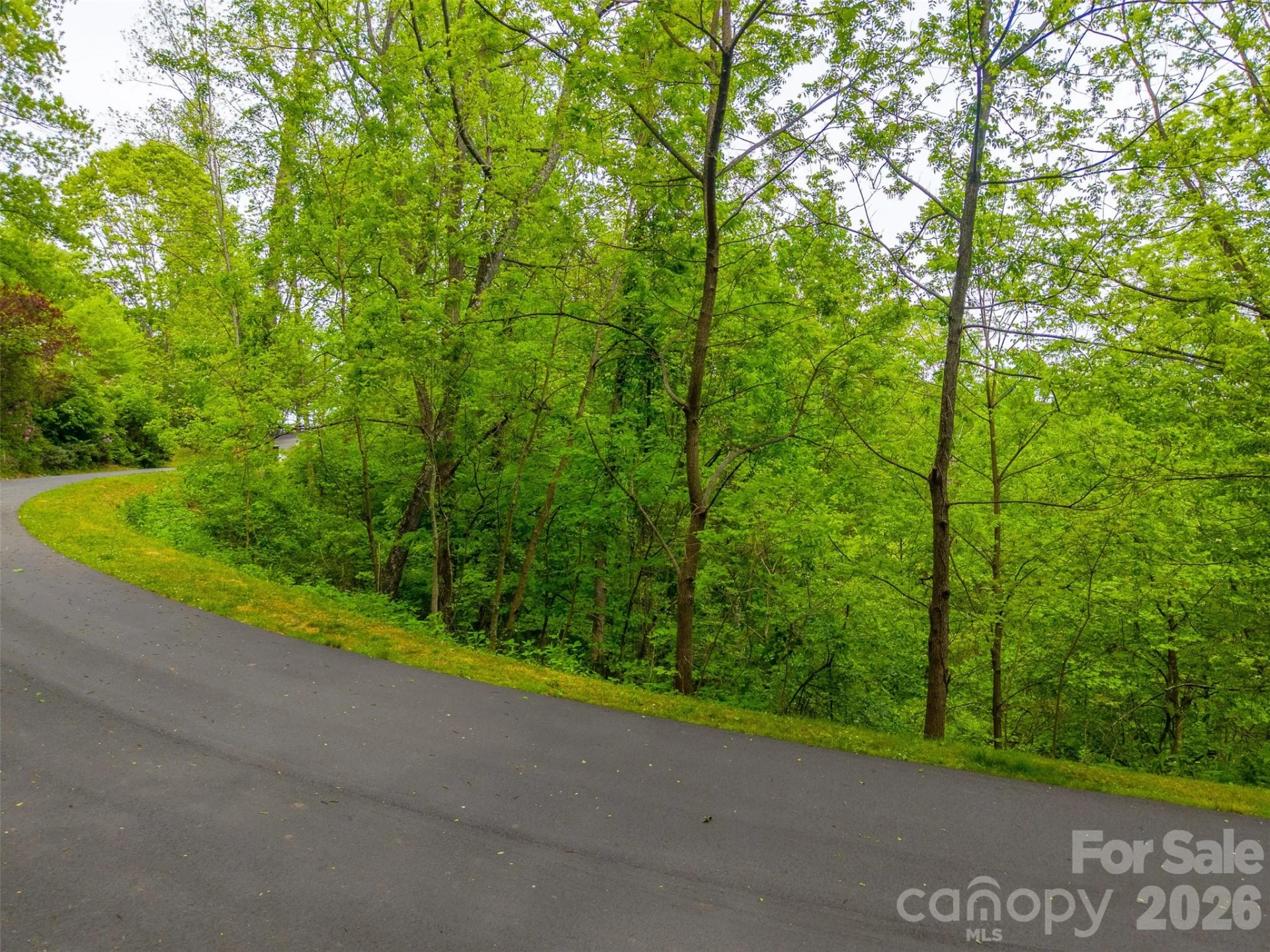 Lot 104 Campbell Mountain Drive - Photo 12