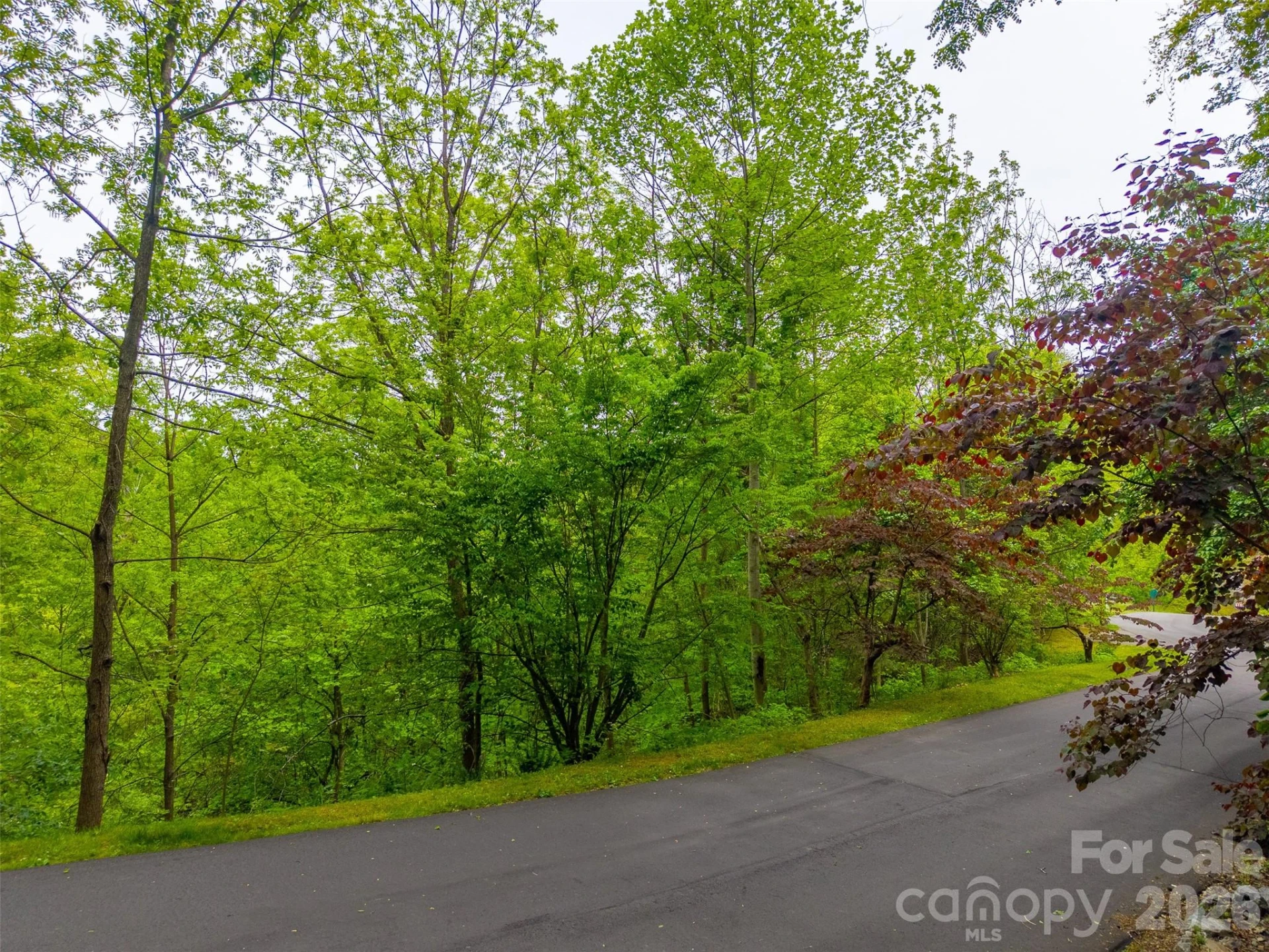Lot 104 Campbell Mountain Drive - Photo 13