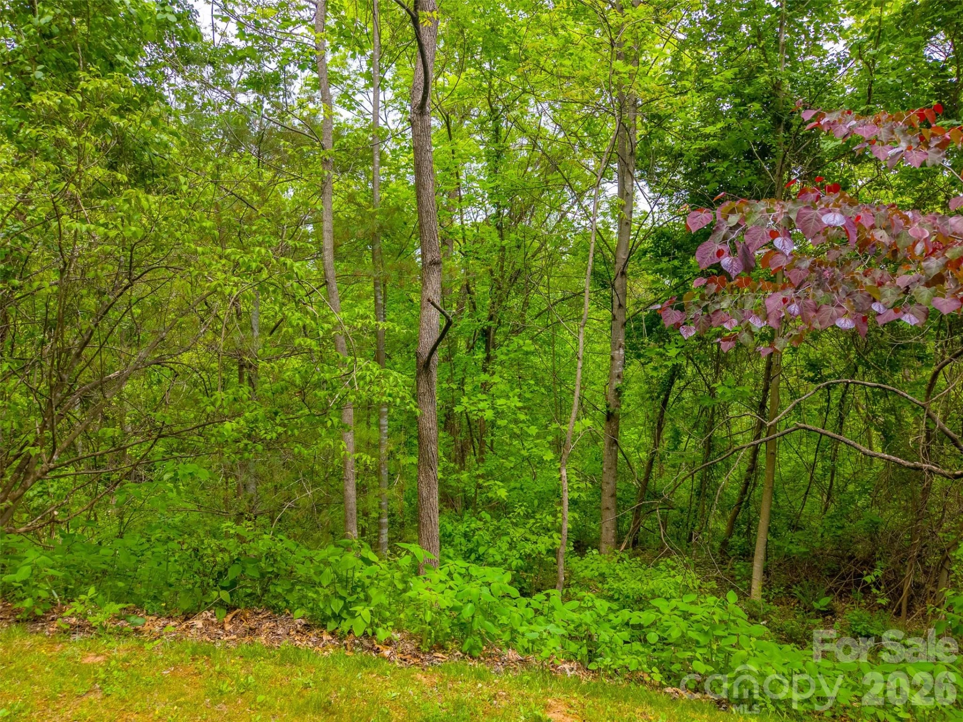 Lot 104 Campbell Mountain Drive - Photo 14
