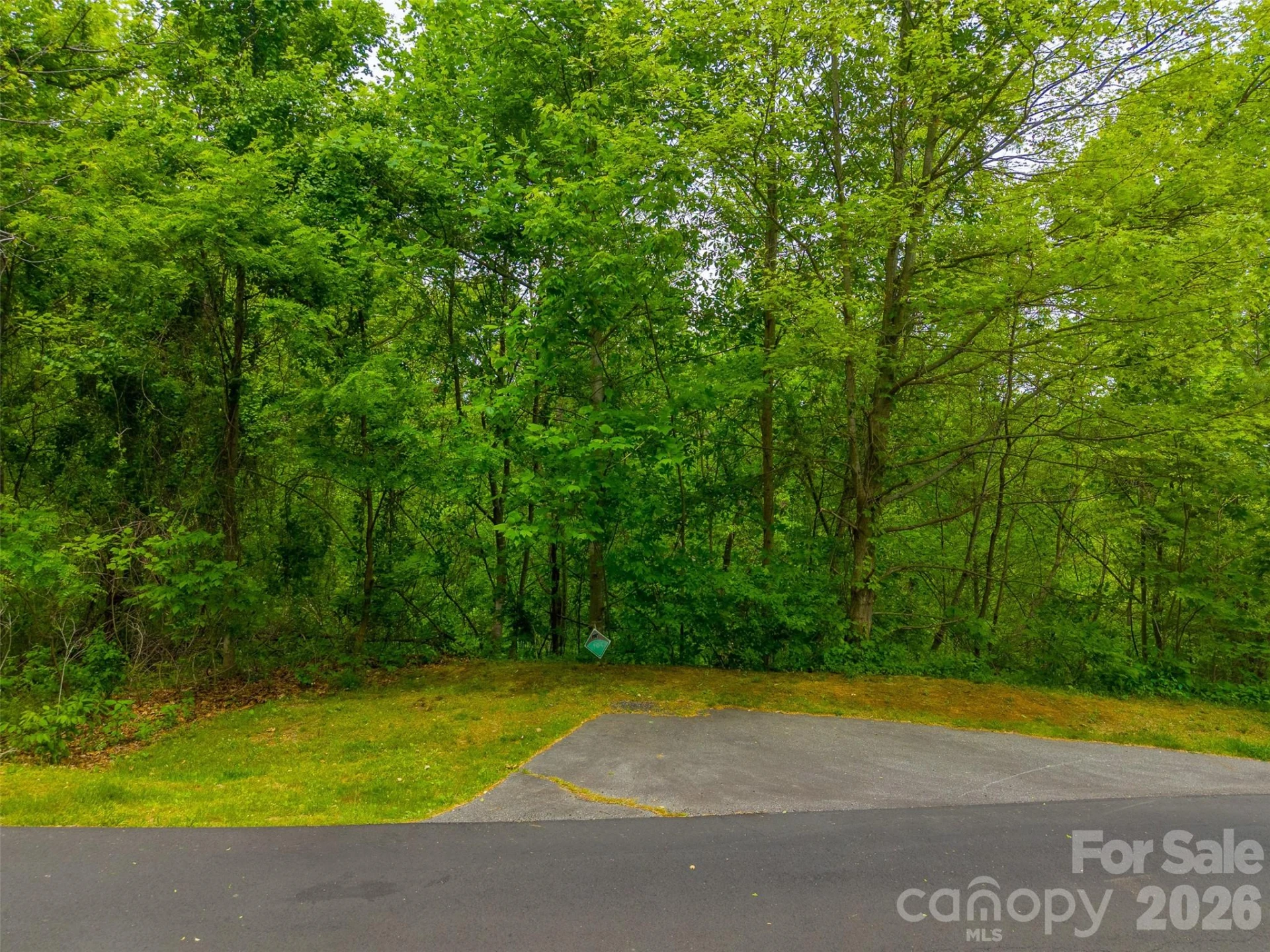 Lot 104 Campbell Mountain Drive - Photo 15