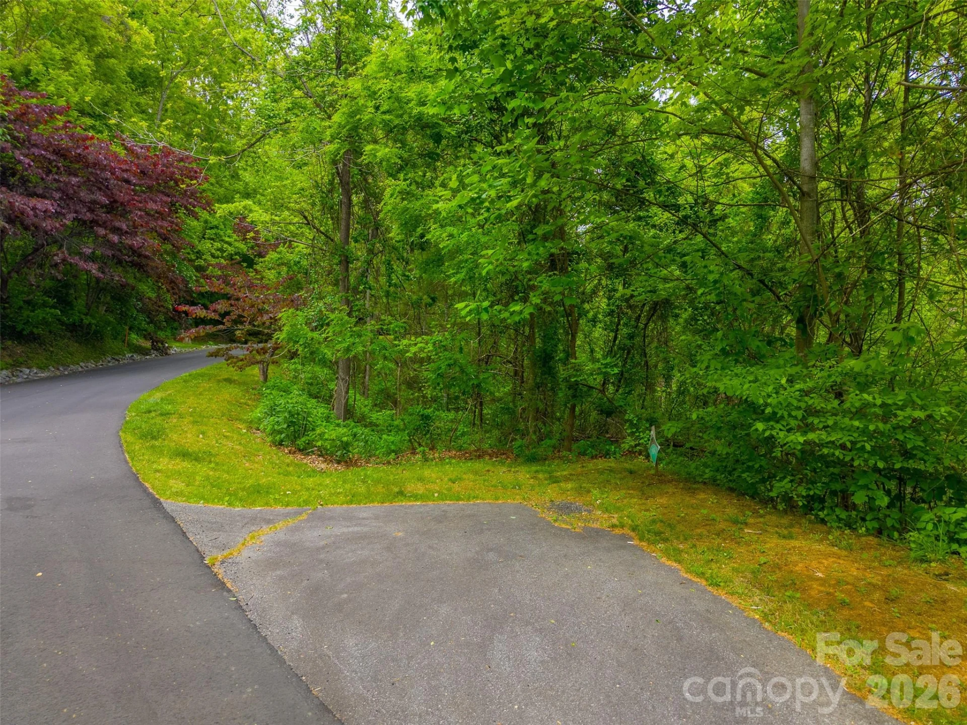 Lot 104 Campbell Mountain Drive - Photo 16