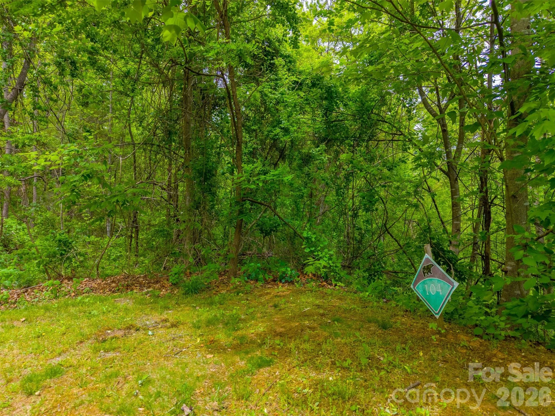 Lot 104 Campbell Mountain Drive - Photo 17