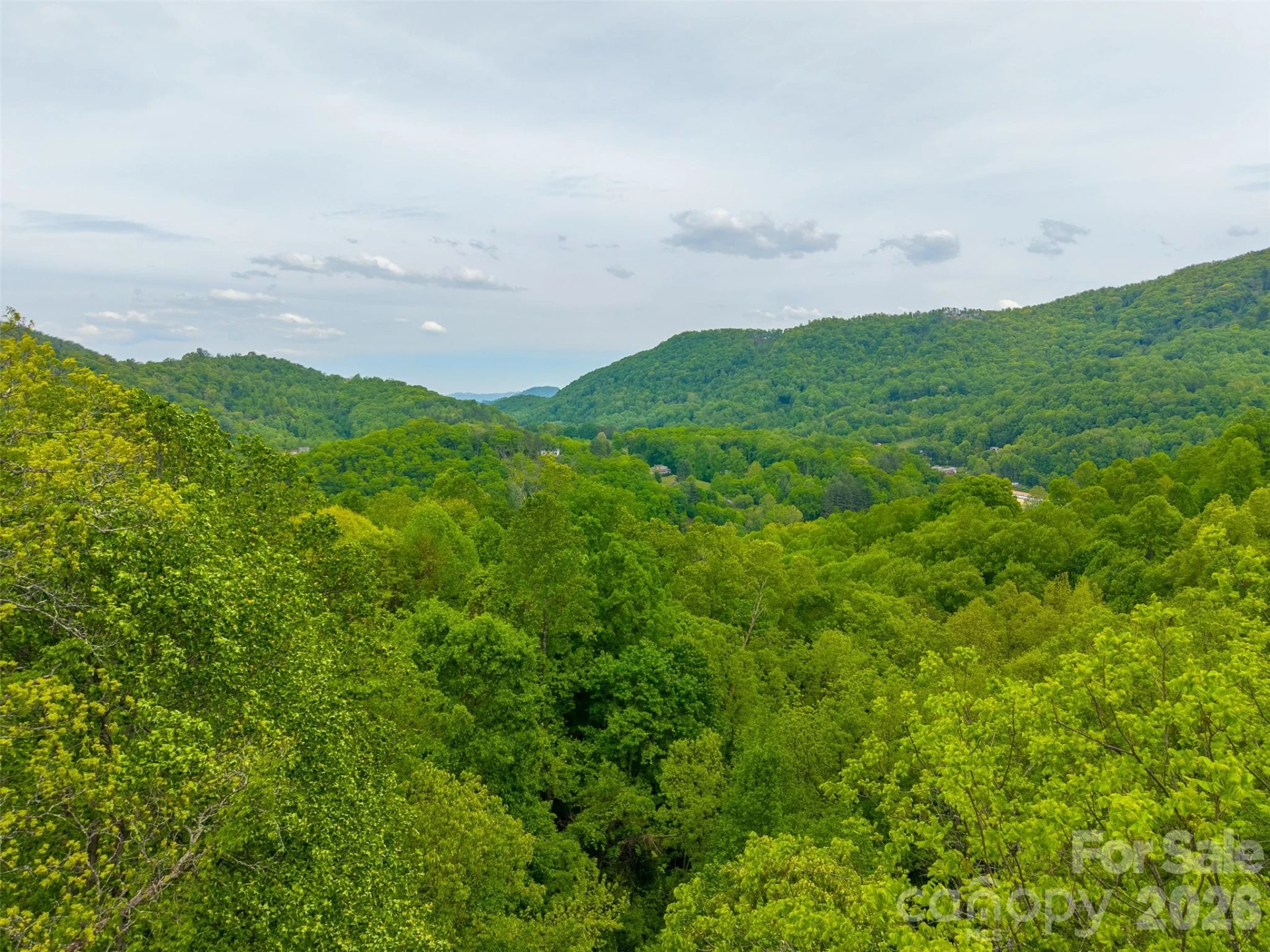Lot 104 Campbell Mountain Drive - Photo 3