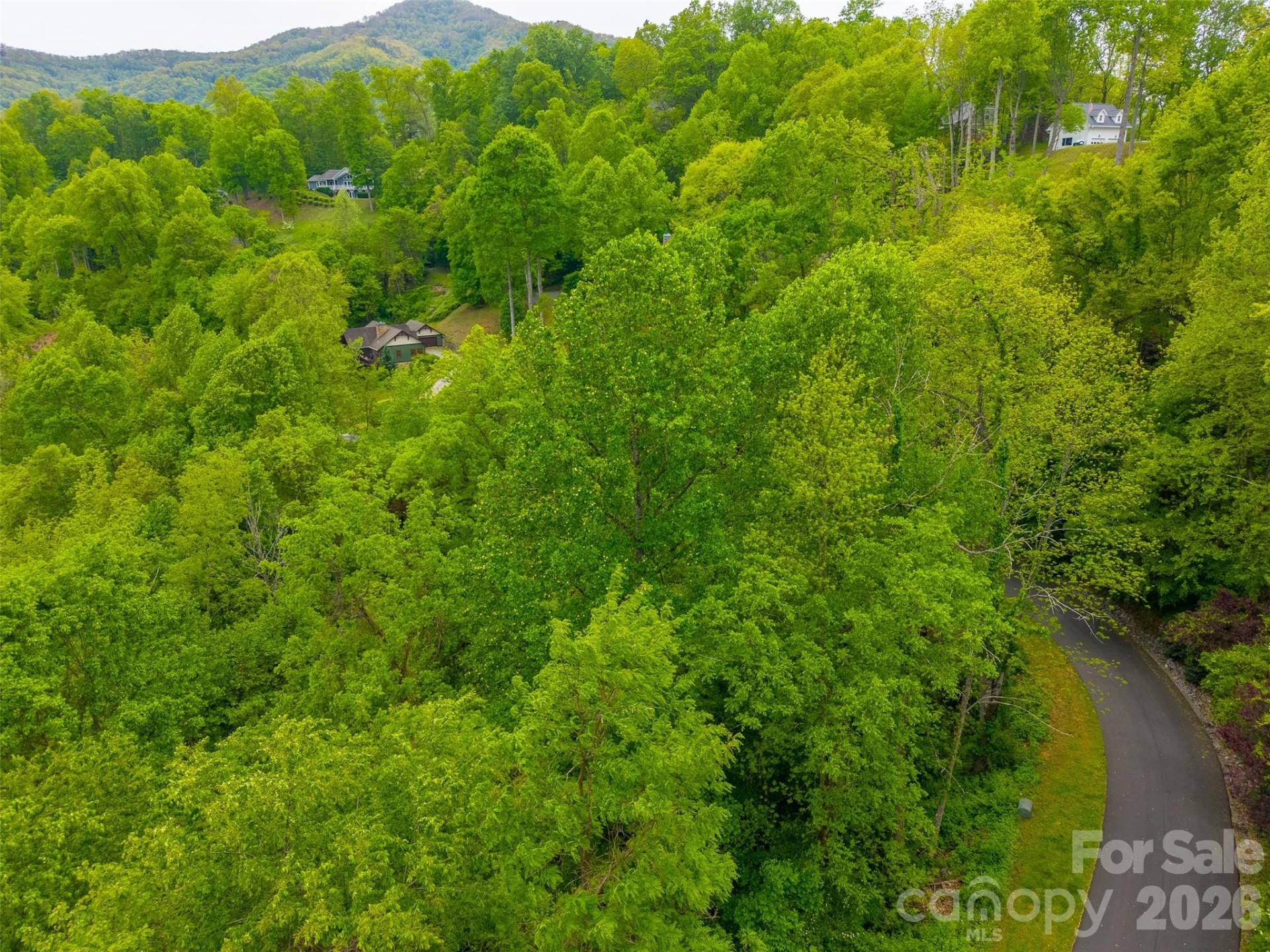 Lot 104 Campbell Mountain Drive - Photo 4