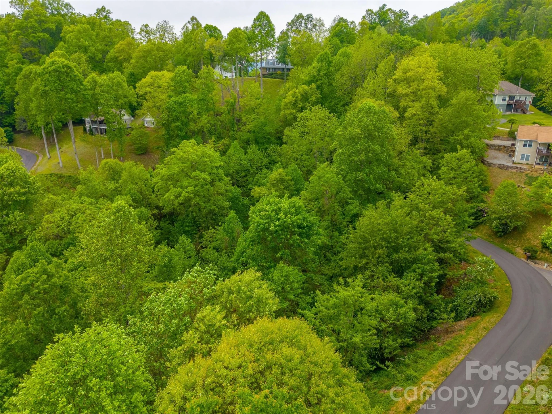 Lot 104 Campbell Mountain Drive - Photo 5