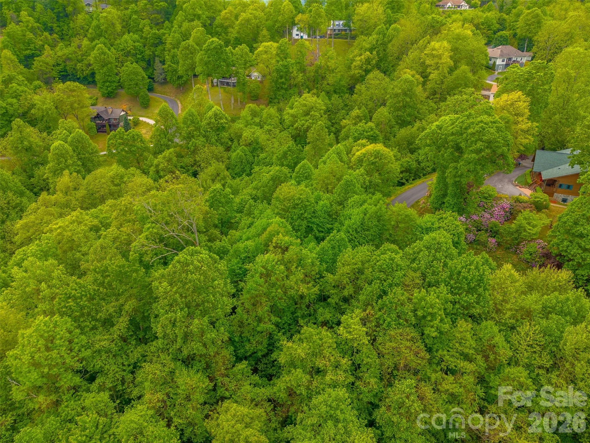 Lot 104 Campbell Mountain Drive - Photo 6