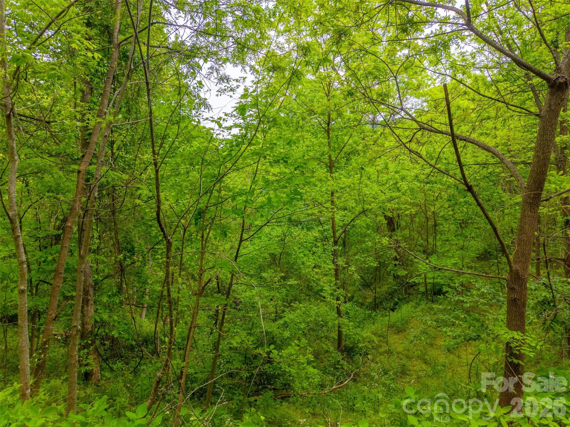 Lot 104 Campbell Mountain Drive - Photo 9