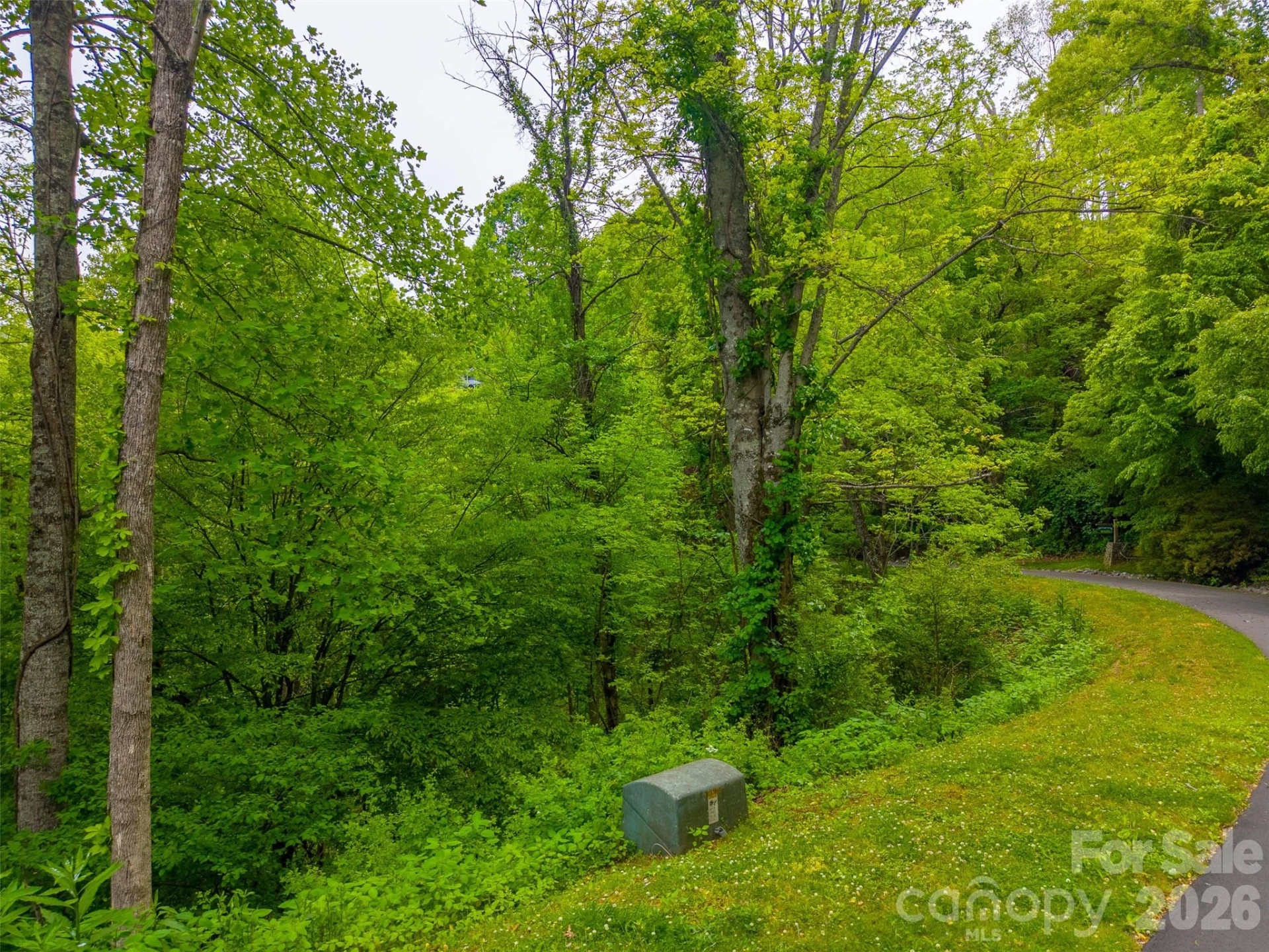 Lot 104 Campbell Mountain Drive - Photo 10