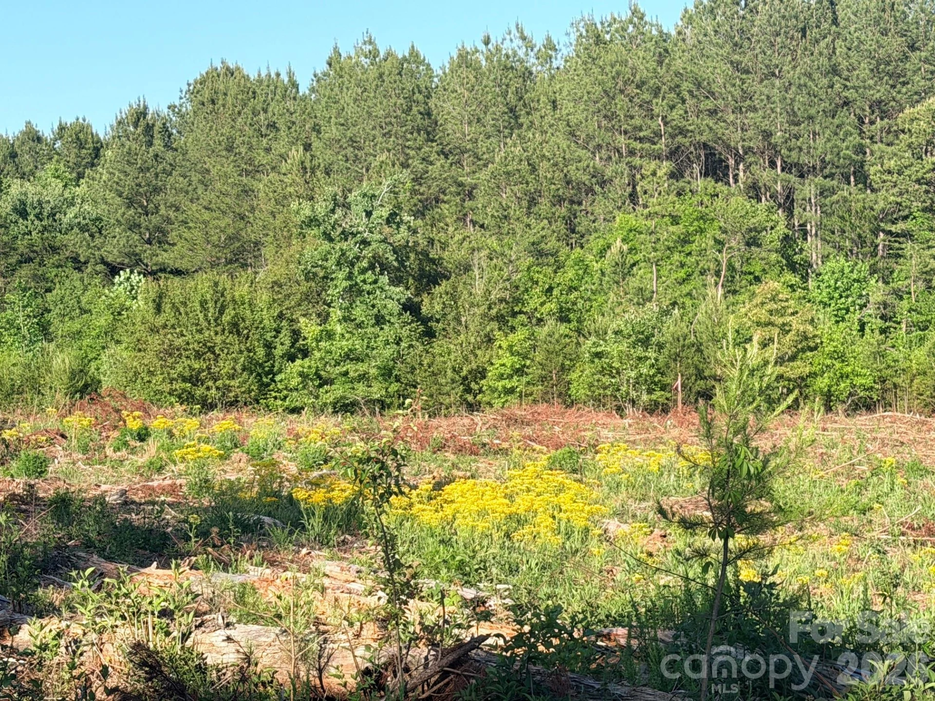 Lot 2 Doggett Grove Road - Photo 4