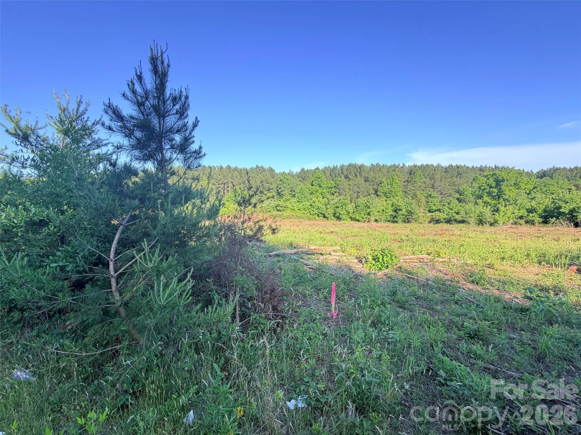 Lot 2 Doggett Grove Road - Photo 5